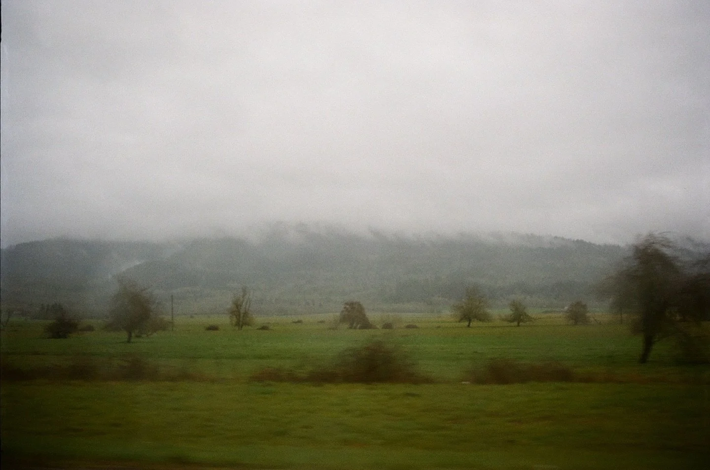 Head pressed against a window on a drive up to Portland

Smelled like rain. 
Passed a few fields of sheep.
Played a lot of Caamp on the aux.

Shot on Kodak200 and scanned by the best @cameramall