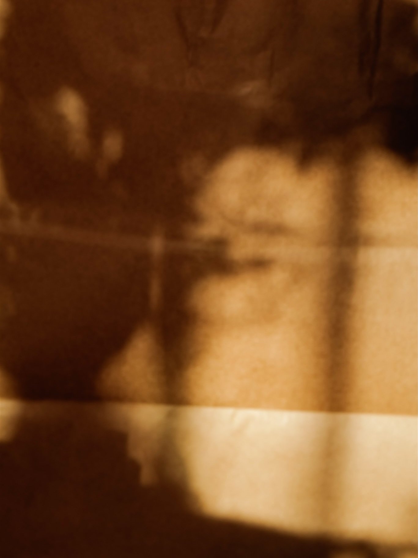 A handful of frames from a new camera, being playful with photography again, experimenting, making magic with the mundane. Subject matter includes a paper bag on my floor, the bark of a tree in front of my house, the bouquets from Easter Sunday that 