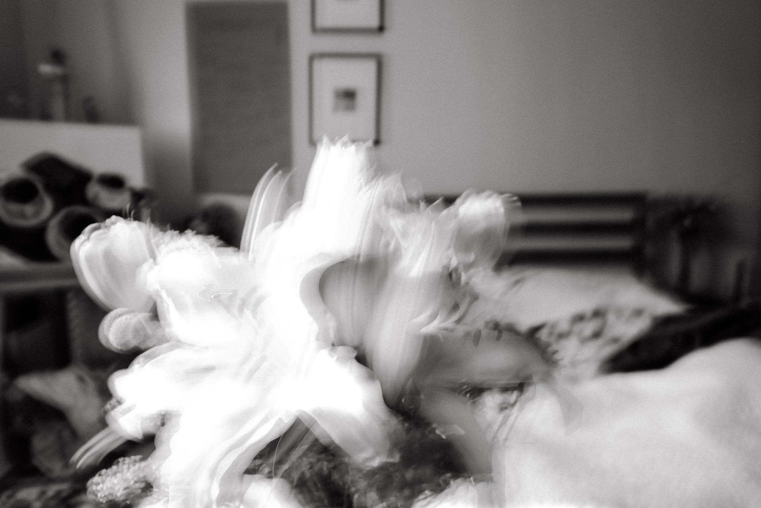 Black and white flower on film 