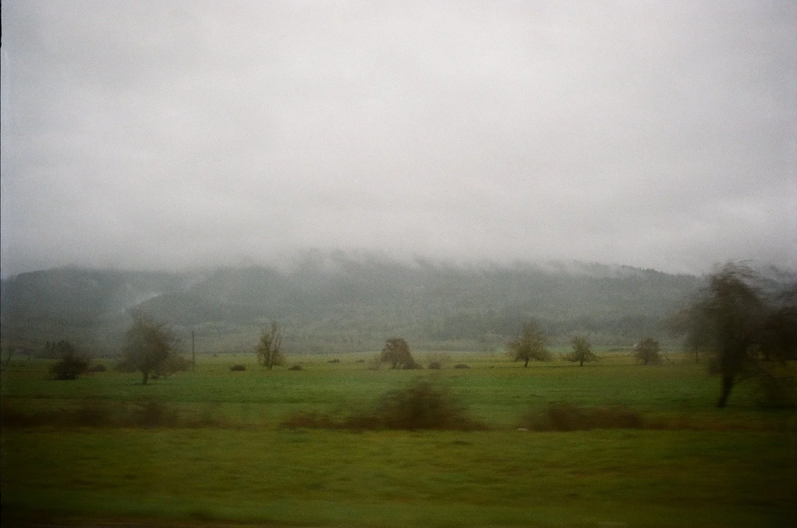 A hazy mountain through the window of a car on a misty day in Oregon