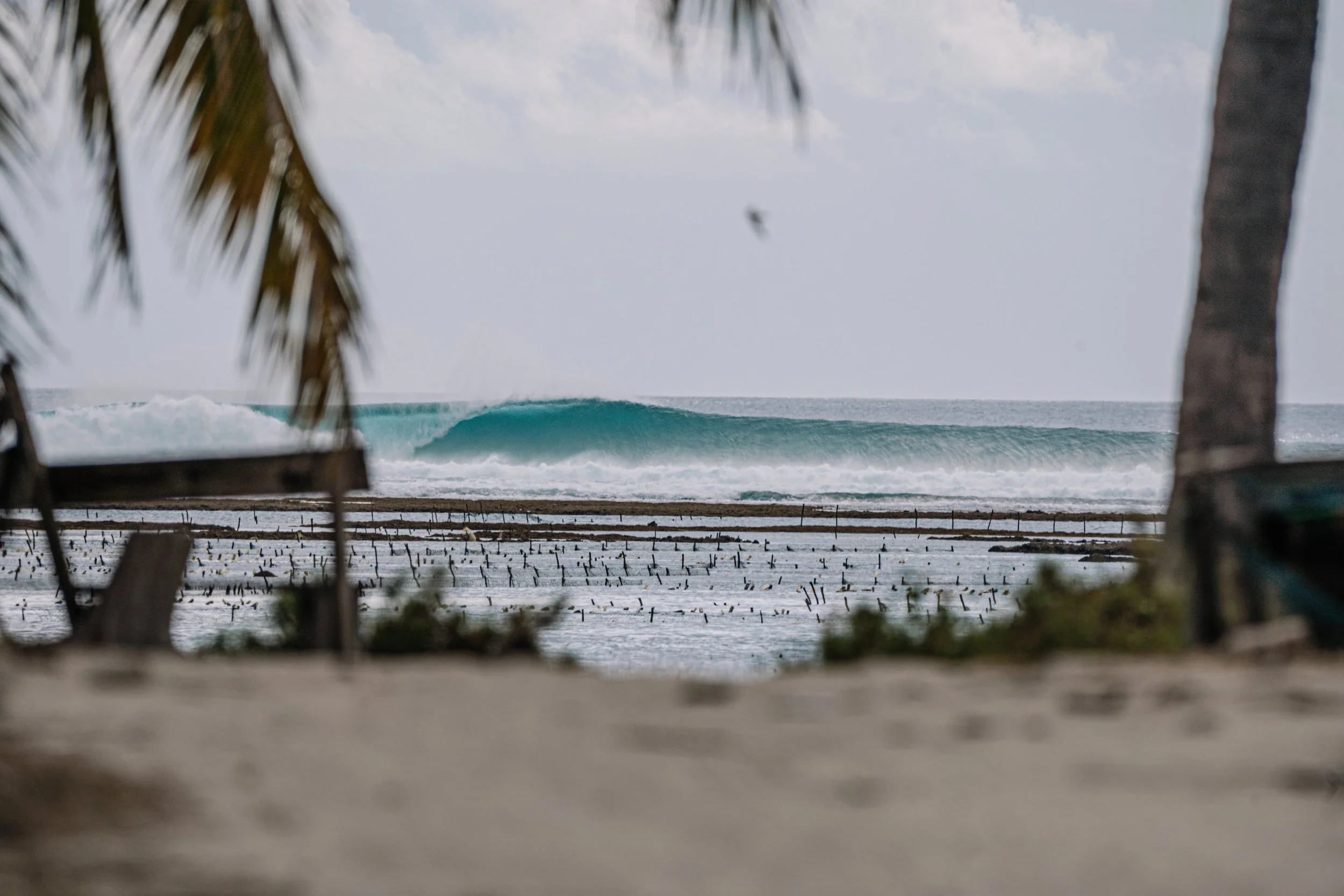 Nembrala T-lands surfing, Rote Island