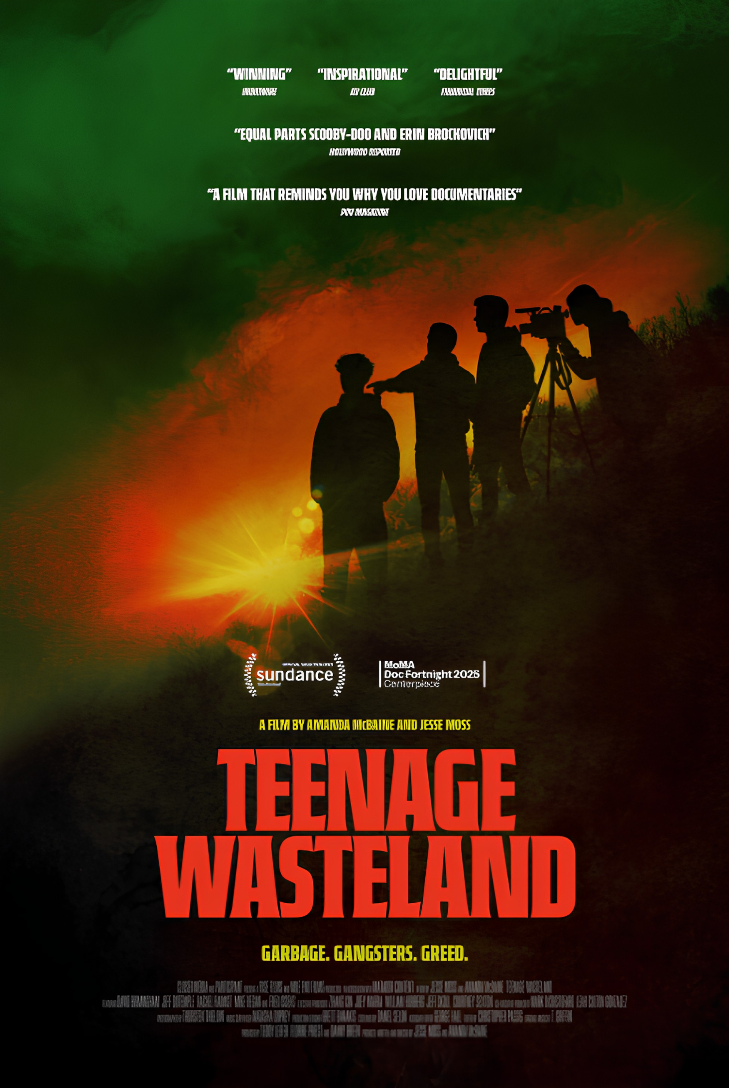 Silhouettes of four young men, one speaking into a microphone, other operating a camera, standing against a dramatic sunset sky with red, orange, and green hues, promoting the documentary "Teenage Wasteland".
