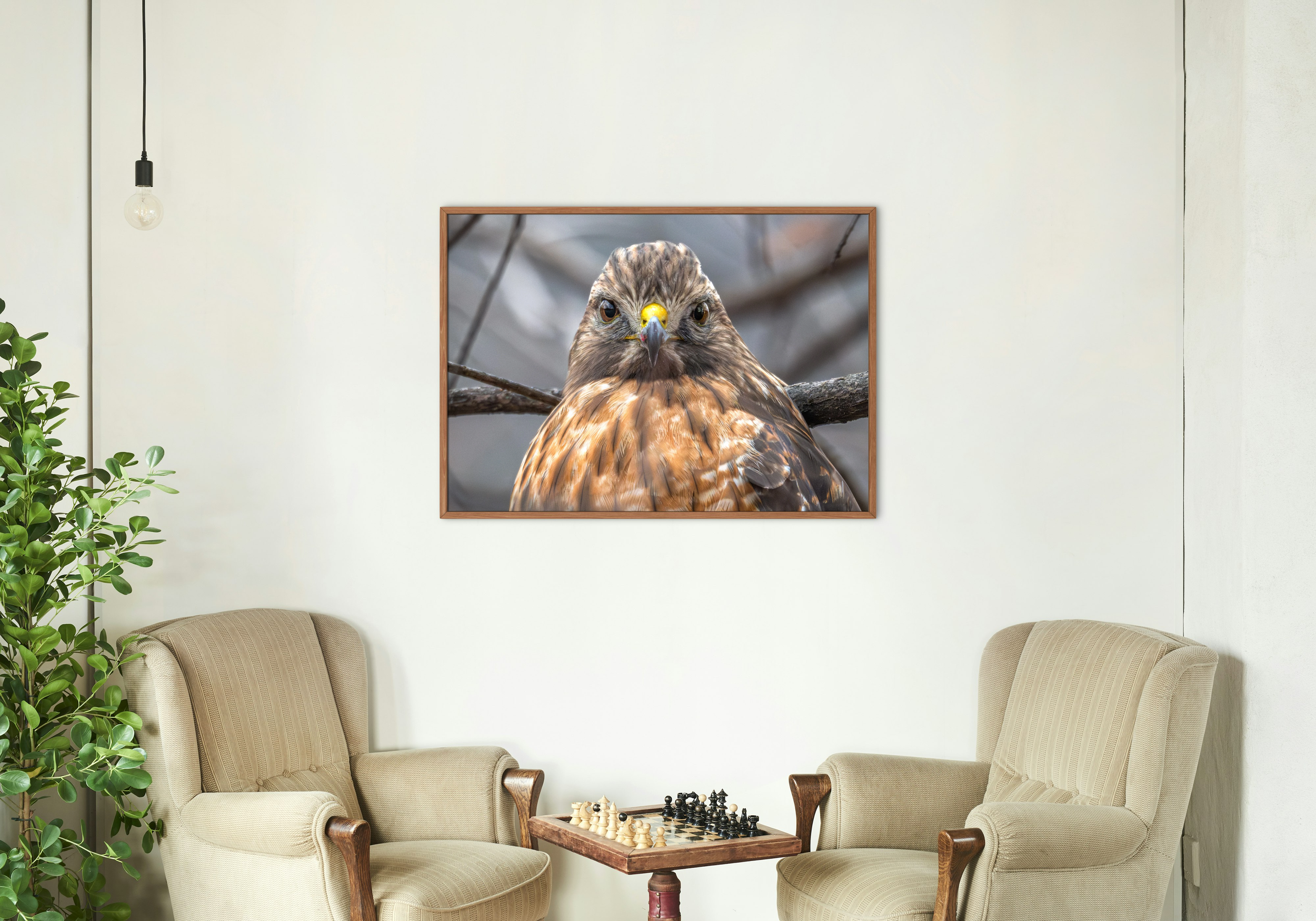 hawkroom.png