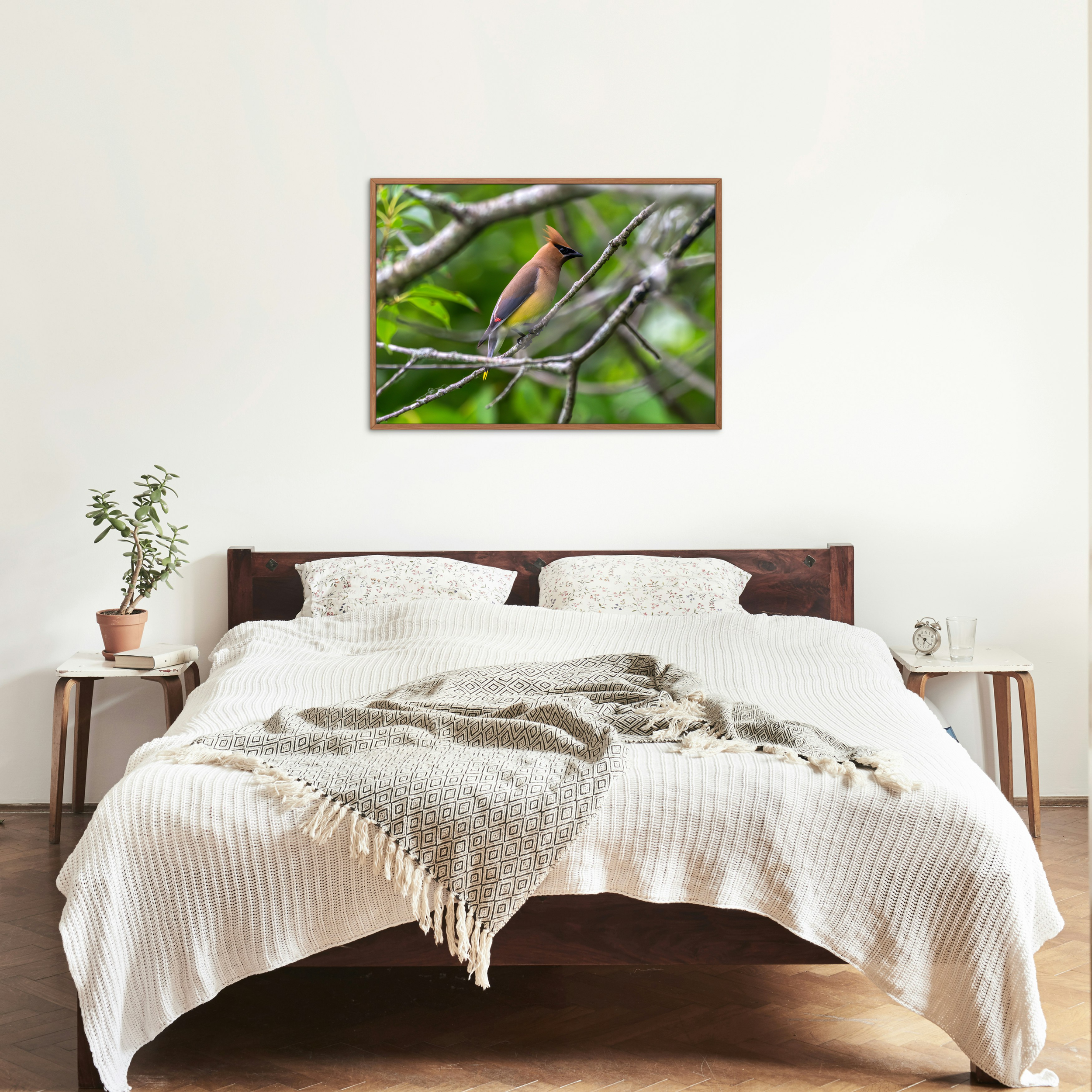 cedarwaxwing_bed.png
