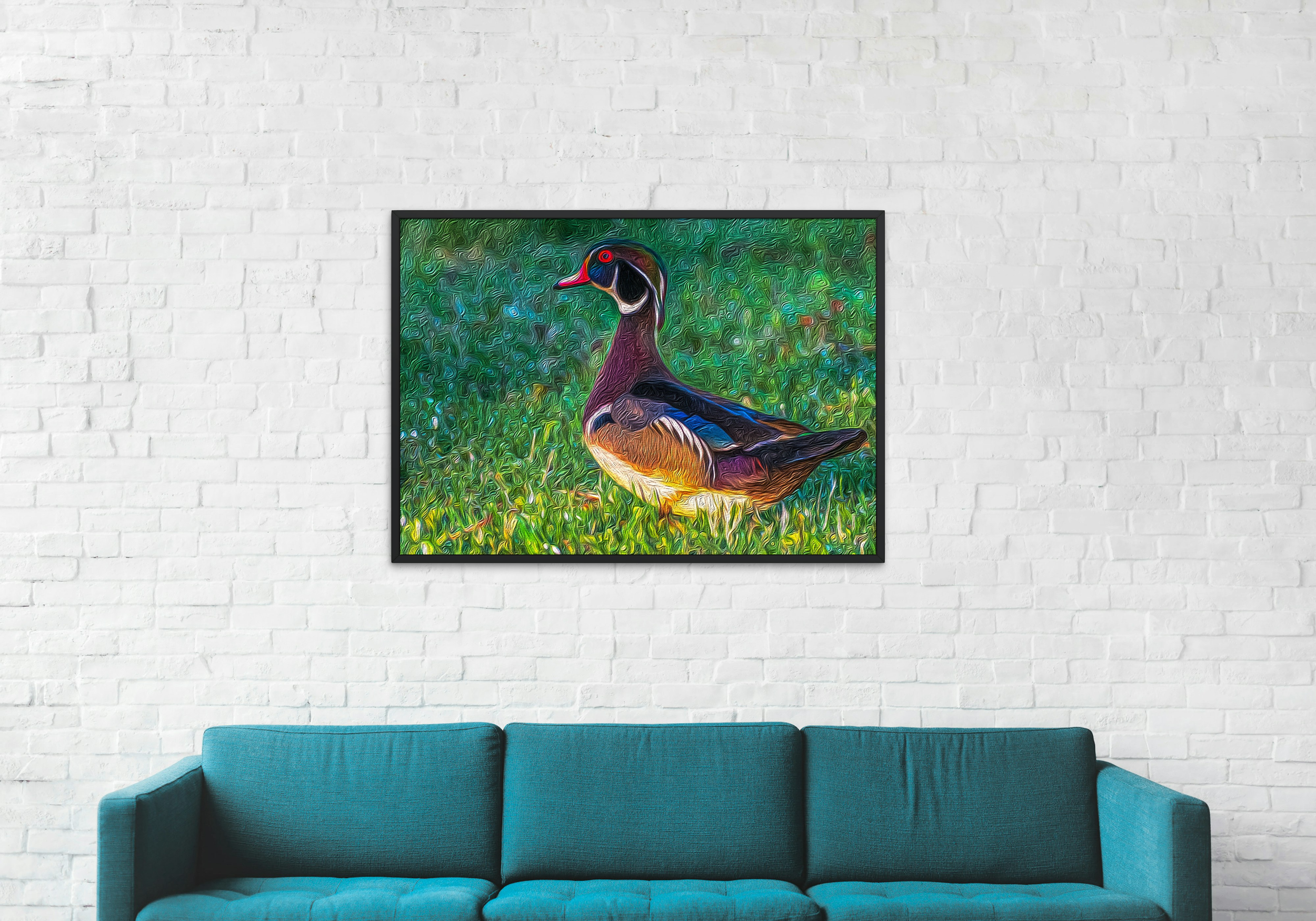 Wood duck