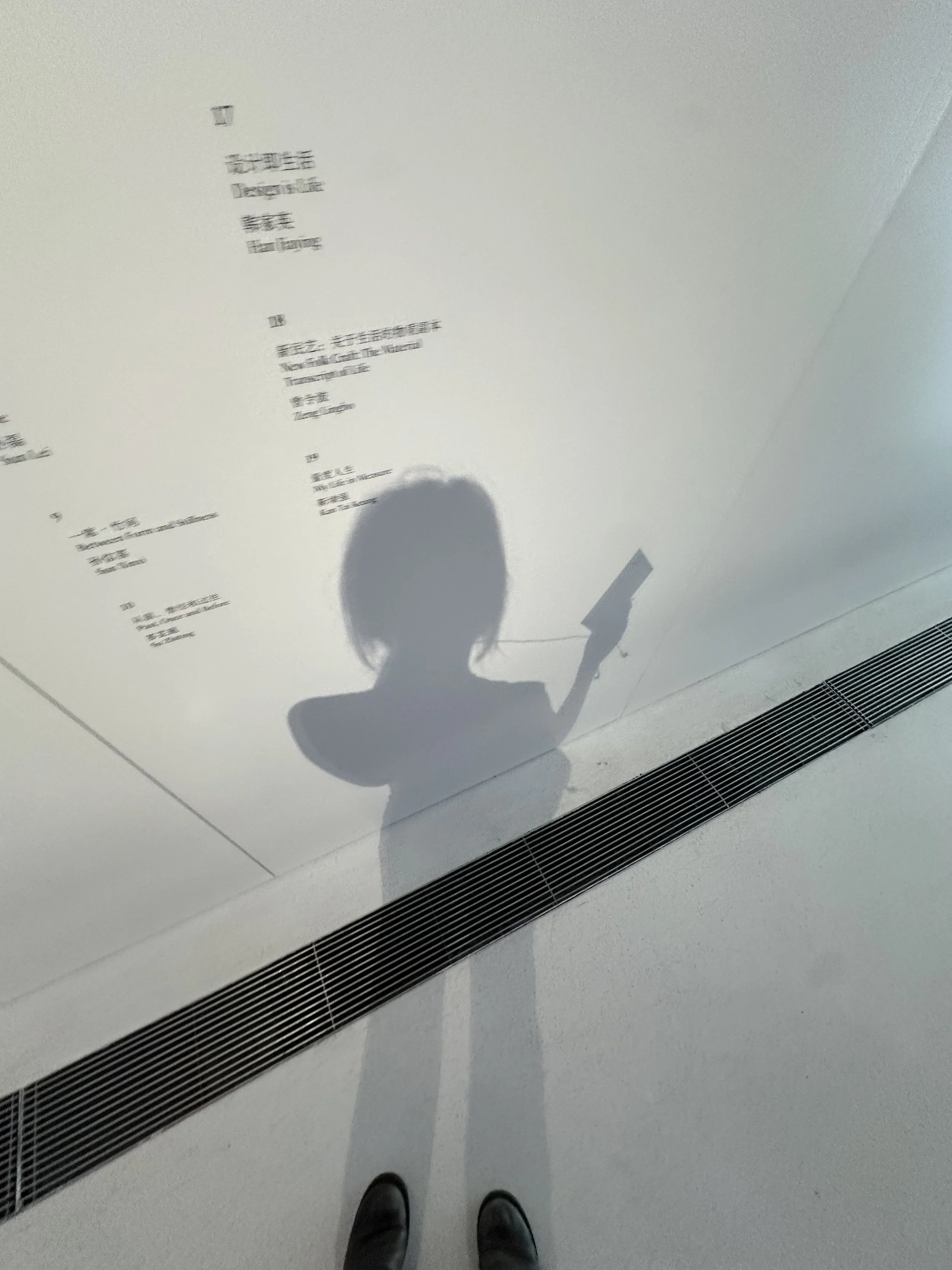 IMG_2155.jpeg