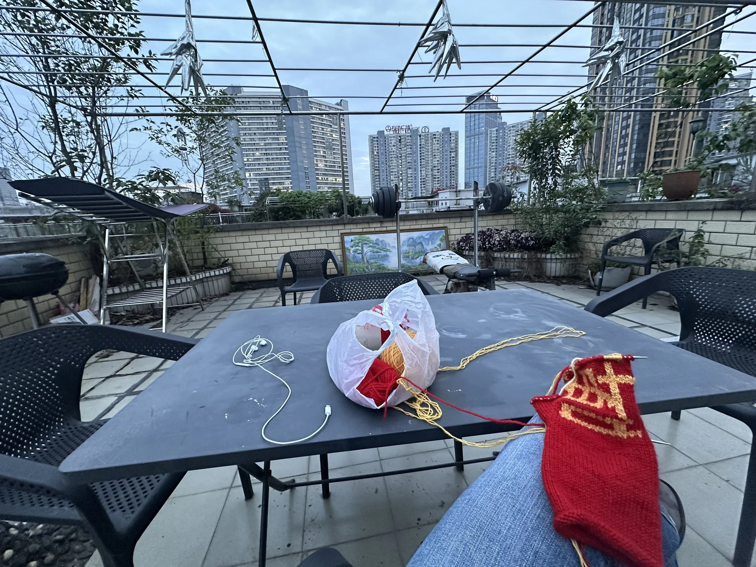 IMG_2038.jpeg