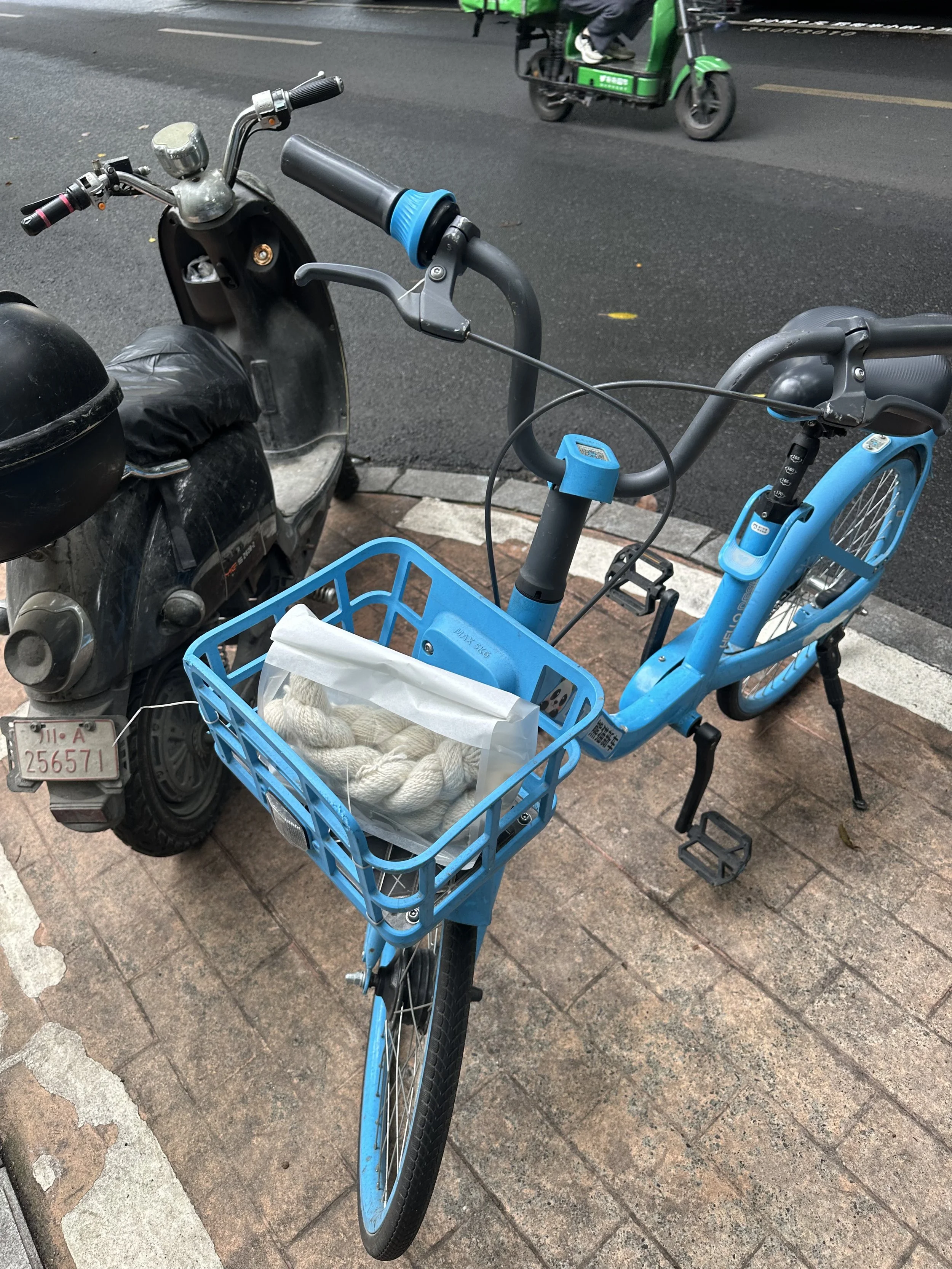 IMG_1950.jpeg