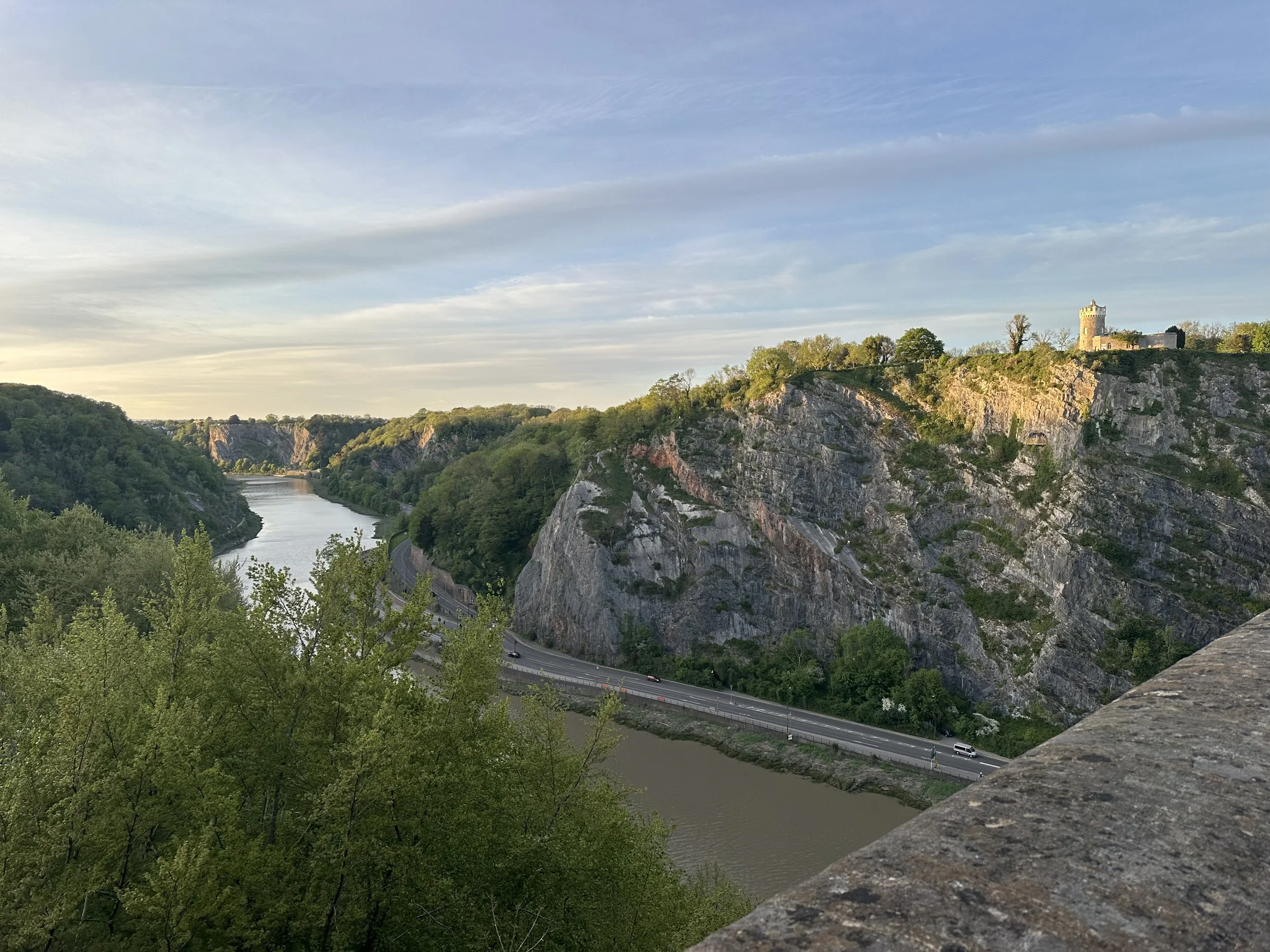 IMG_2956.jpeg