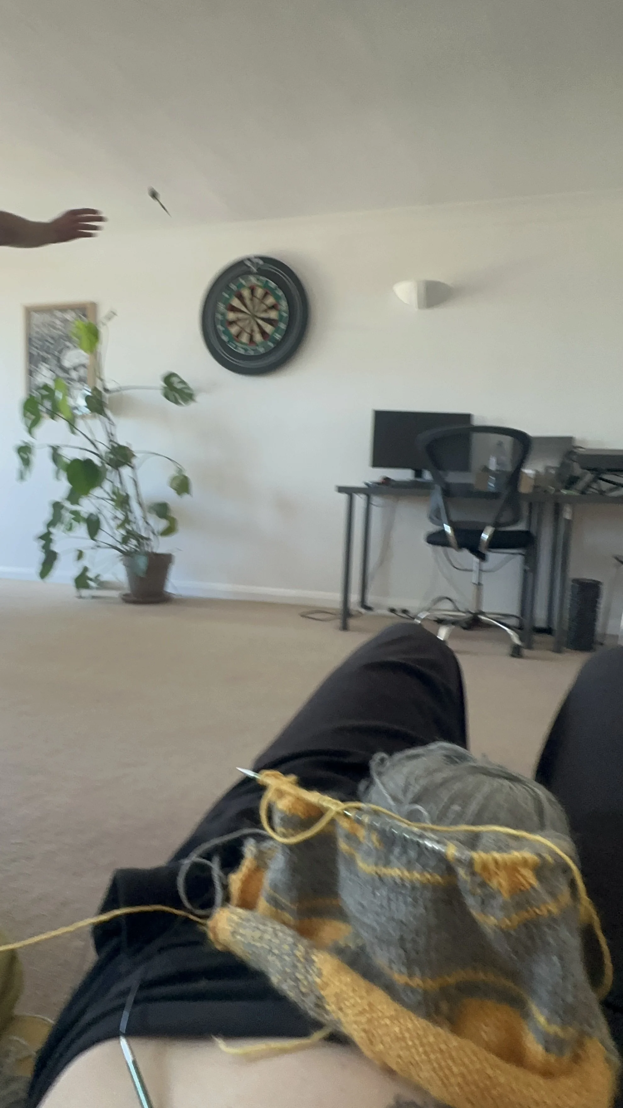 IMG_2809.jpeg