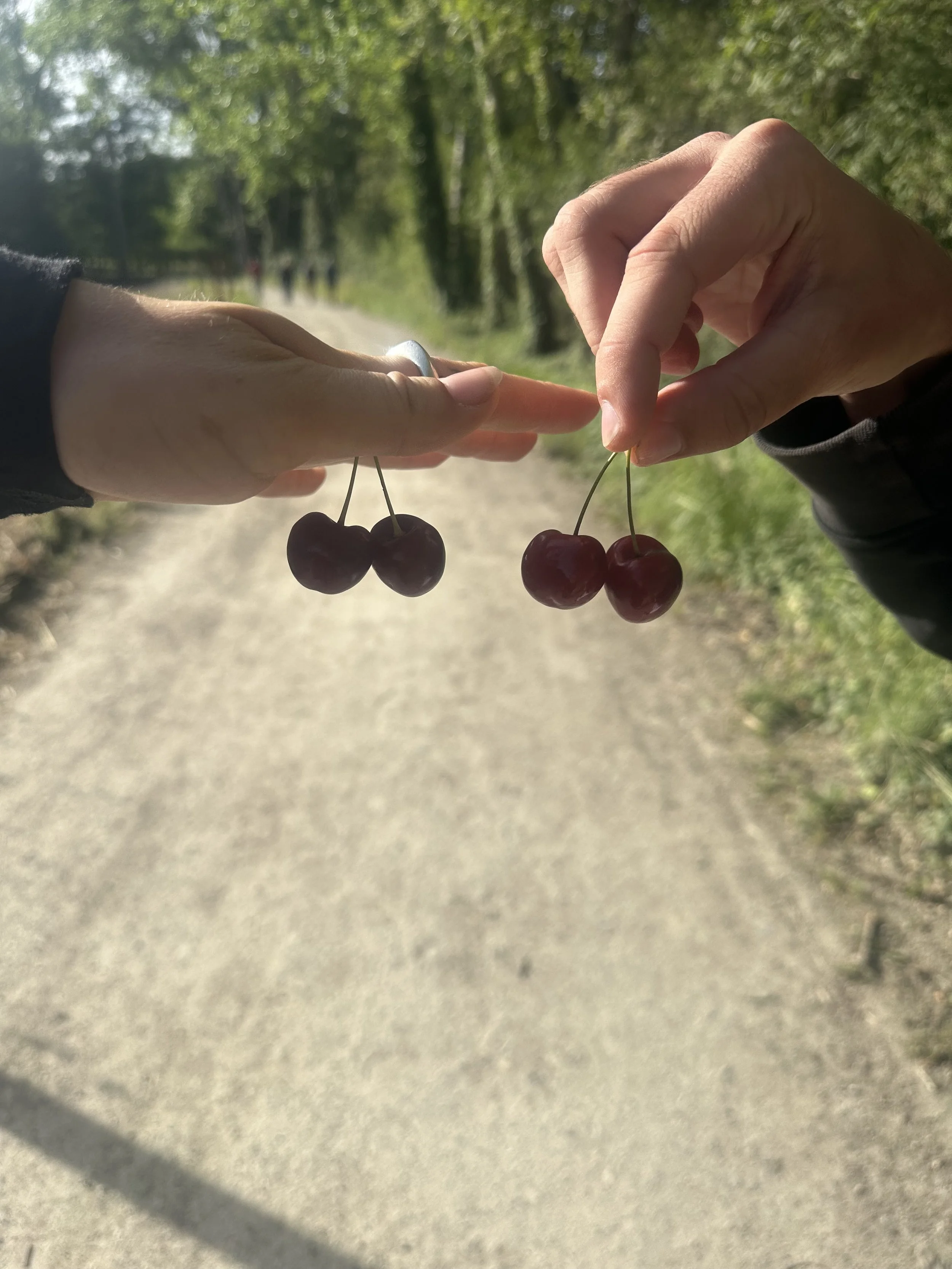IMG_5160.jpeg