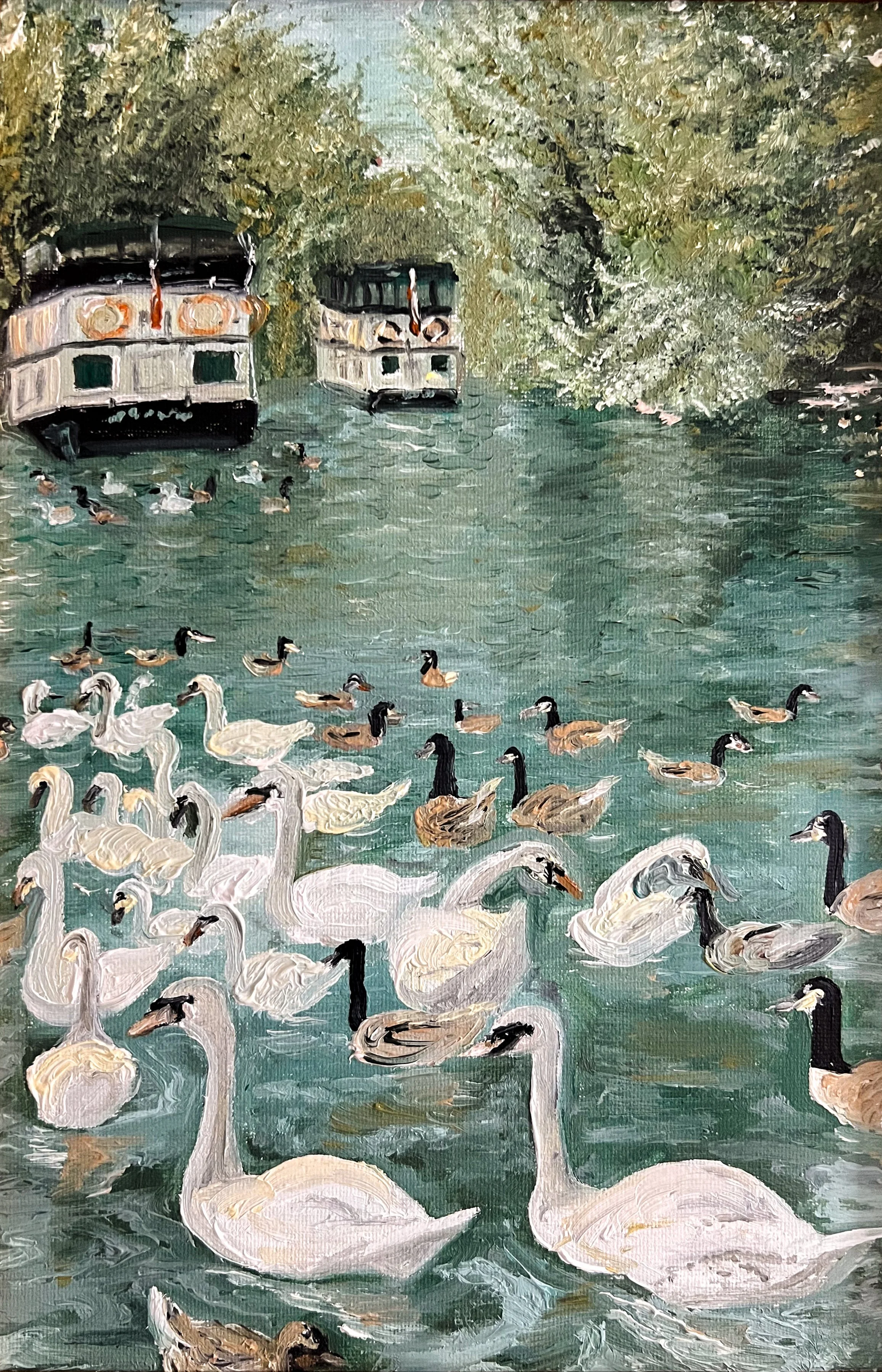 "Swans at Eton & Windsor, England"