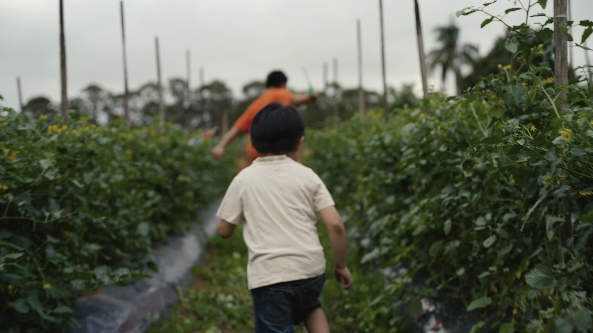Khmer-Australian Welfare Council - Family Wellbeing PSA