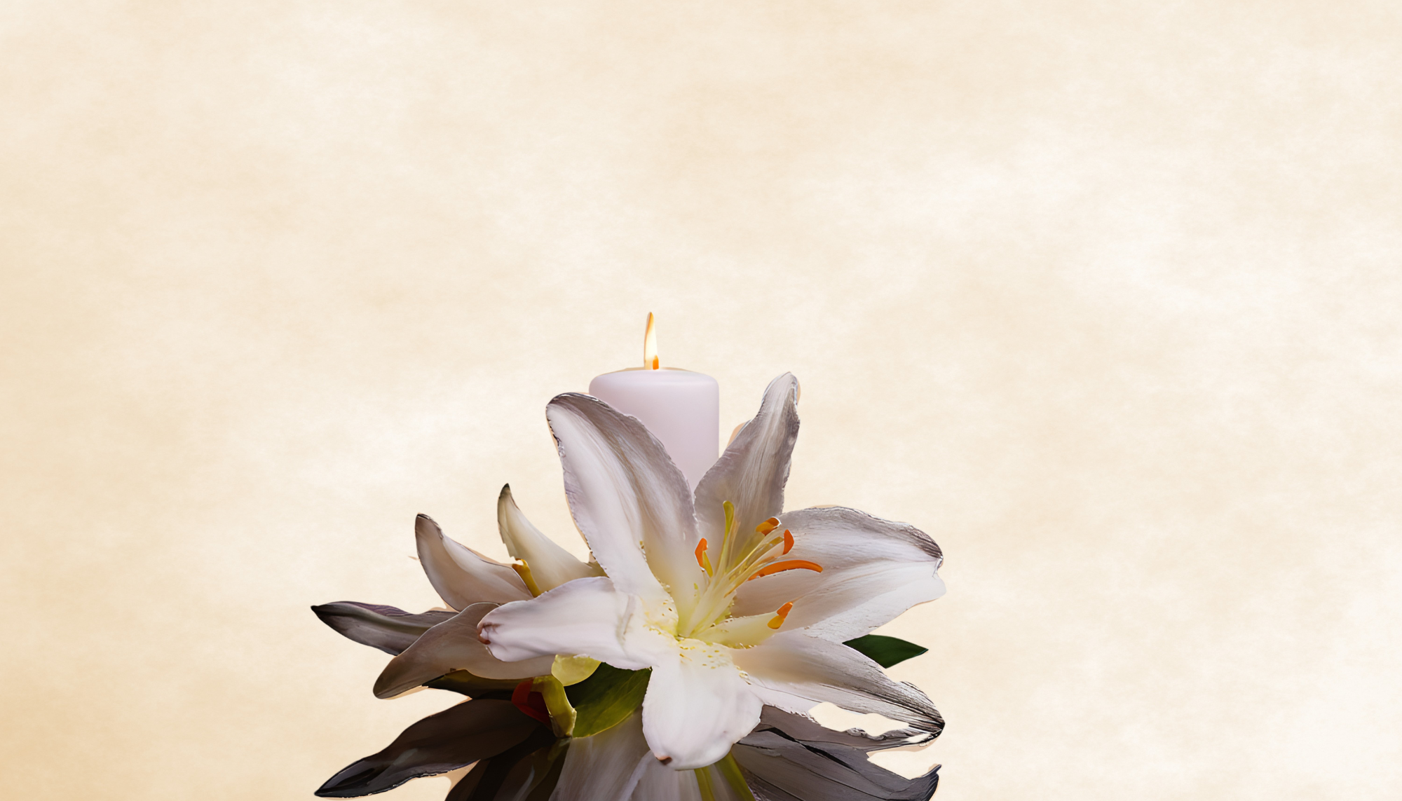 Cynthia R. Brown