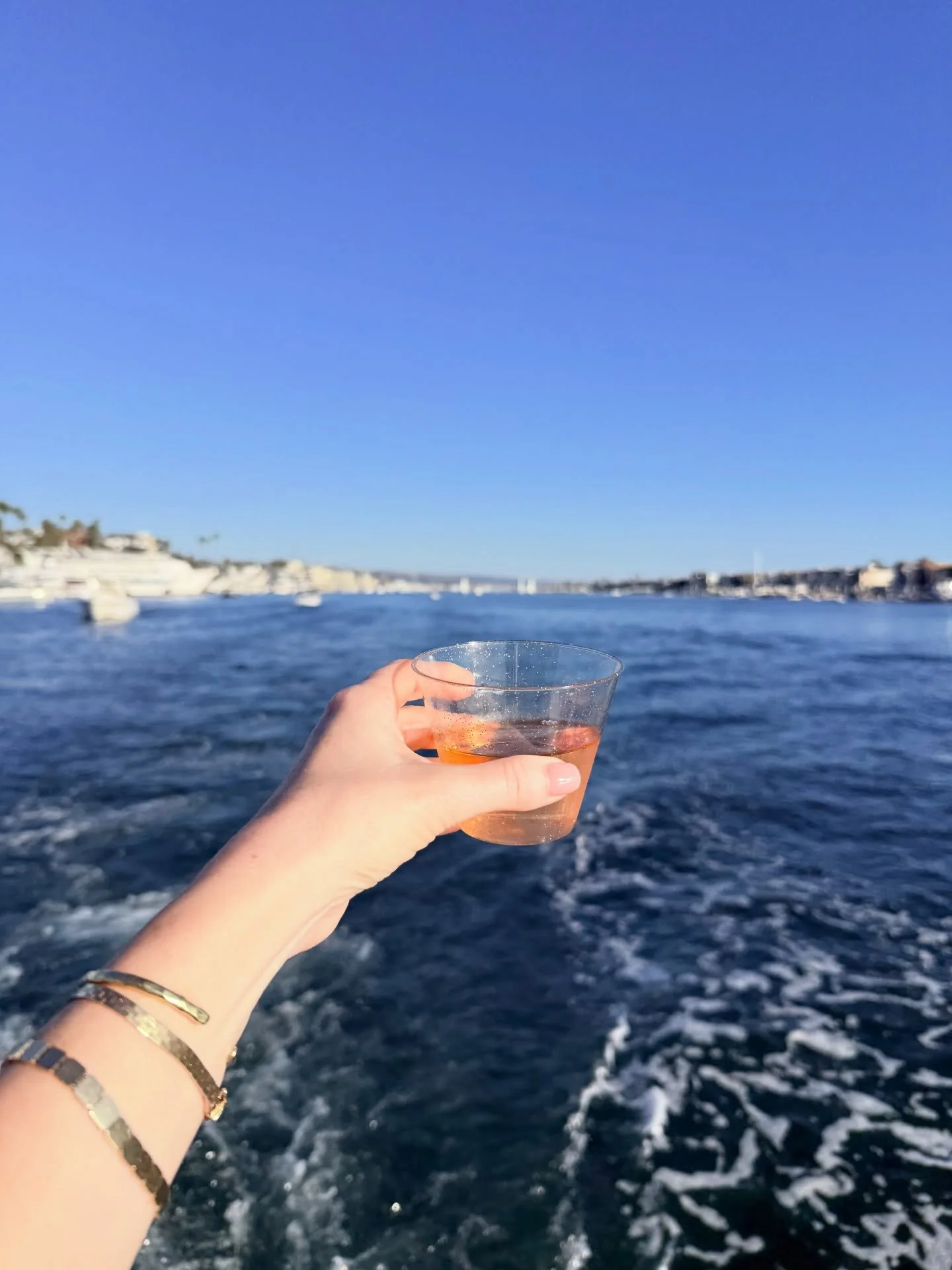 March you were magic! 🪄 Los Olivos with my girls 🍷 Ritz at Rancho Mirage with my OG&rsquo;s 👙 and plenty of family time, boating, sparkles and gardening in between. Spring is for sure my favorite time of year ☀️ 🌱