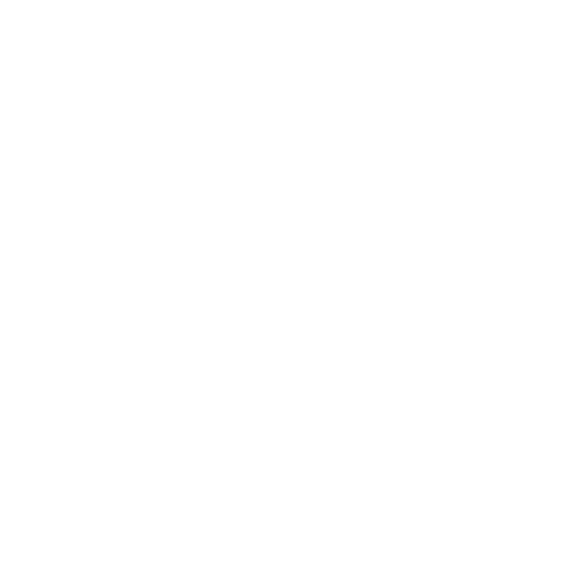 ACCOR WIT VIERKANT.png