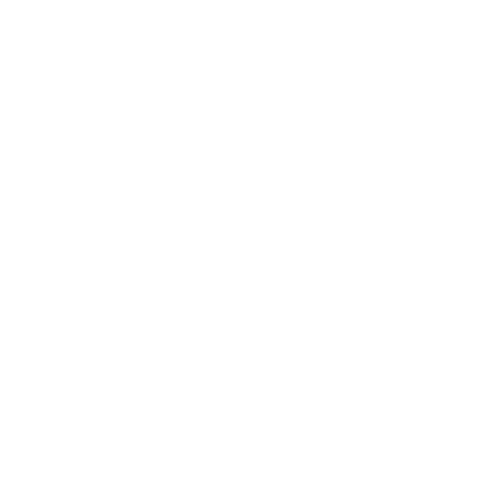 SCHMIDT VIERKANT WIT.png