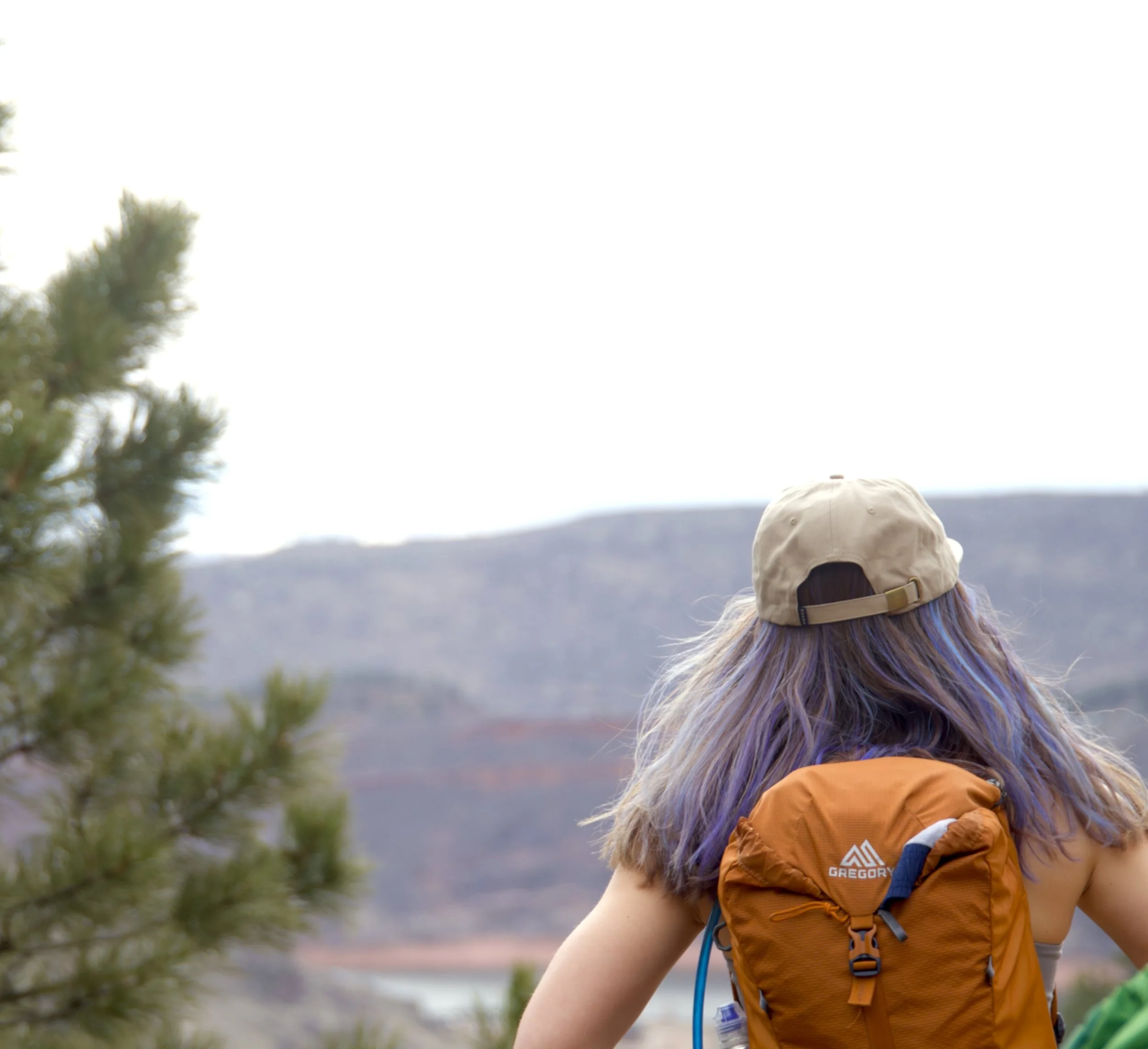 "Trailblazer"
Person with purple hair wearing a beige cap and orange backpack, standing outdoors near a mountain landscape and pine tree.