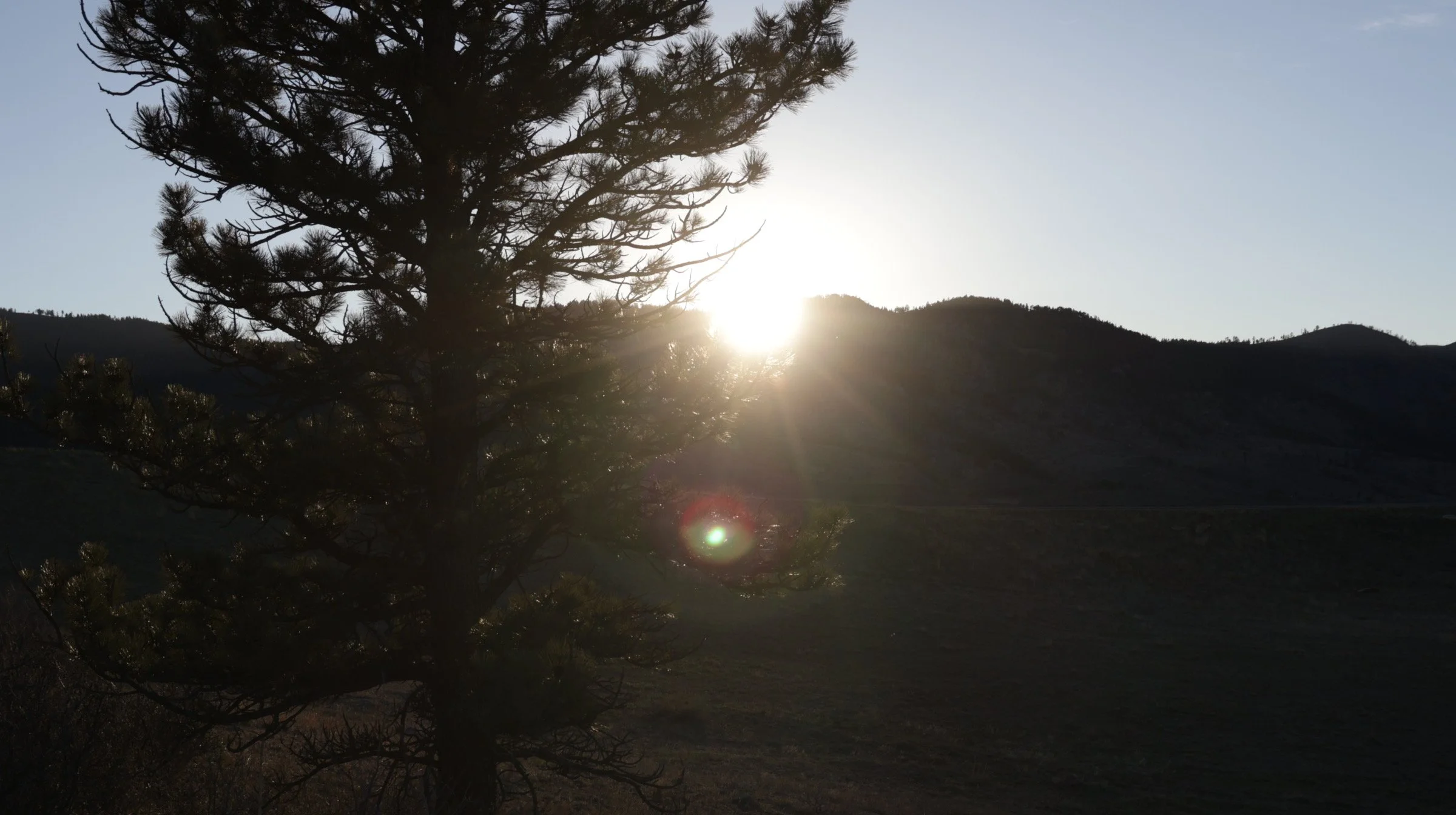"At sunset"
Silhouetted tree against sunset over mountains