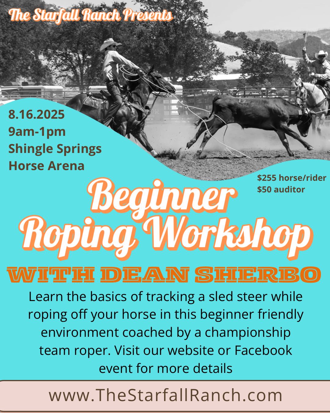 Beginner Roping Workshop w/ Dean Sherbo - Sled Steer Work