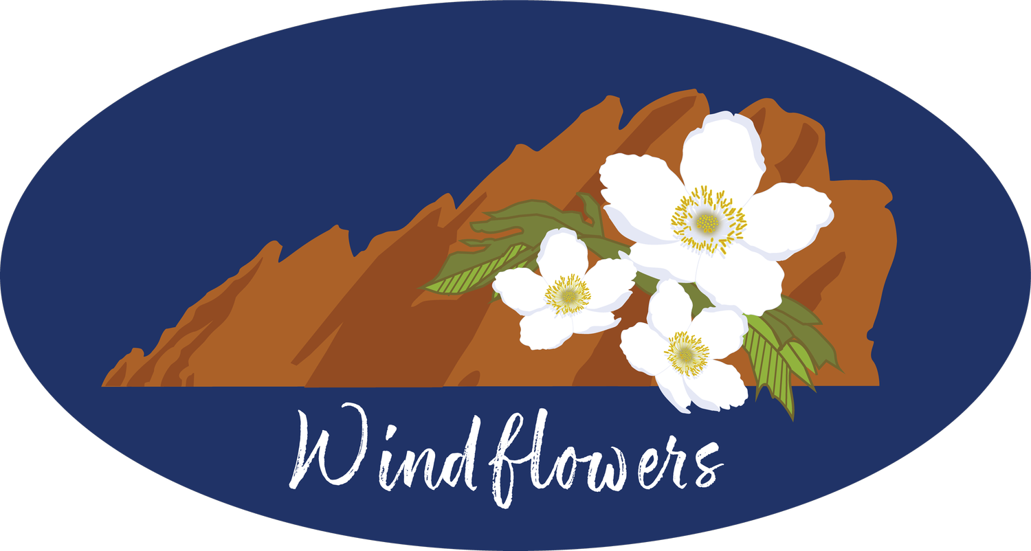 Windflowers of Roxborough Park