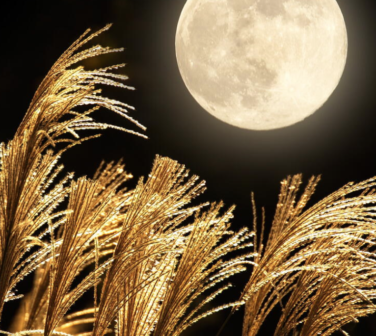 harvest moon jpg.png