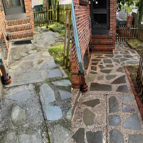 Untitled design (14).png