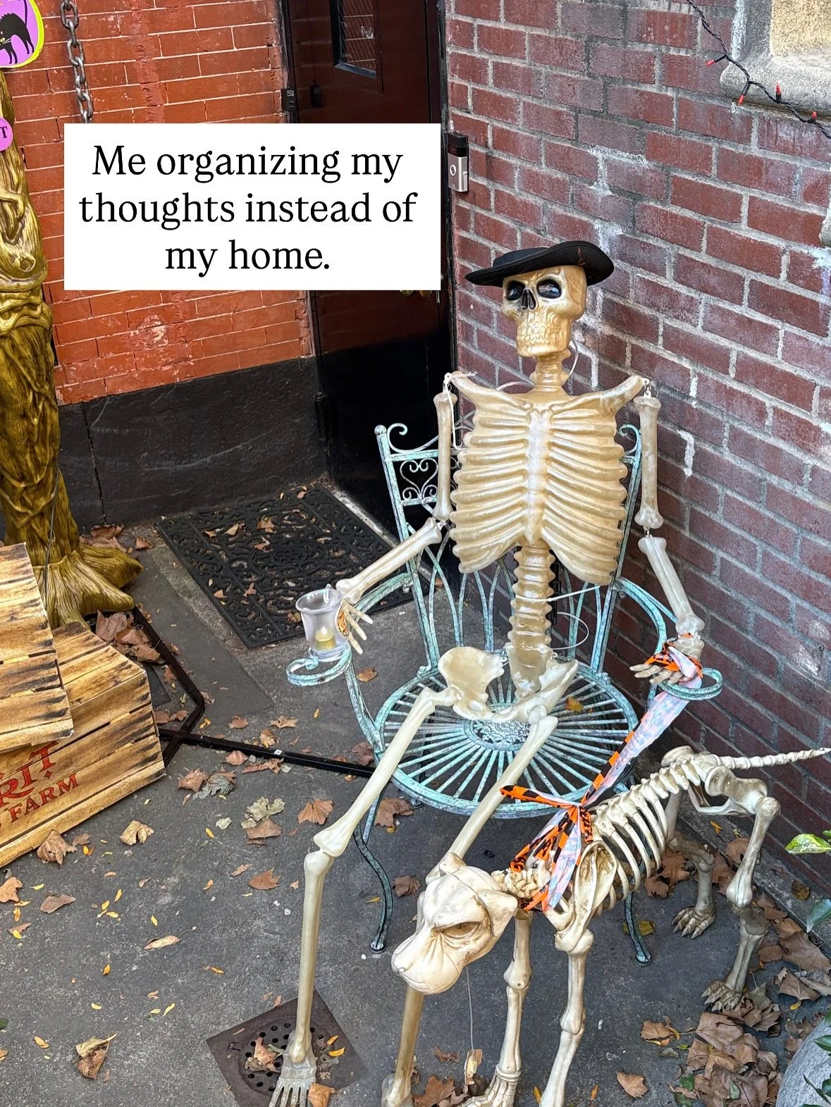 When the clutter haunts your home ✨🎃 Happy Halloween!

#humor #organizing #halloween #uppereastsidenyc #declutter #professionalorganizer