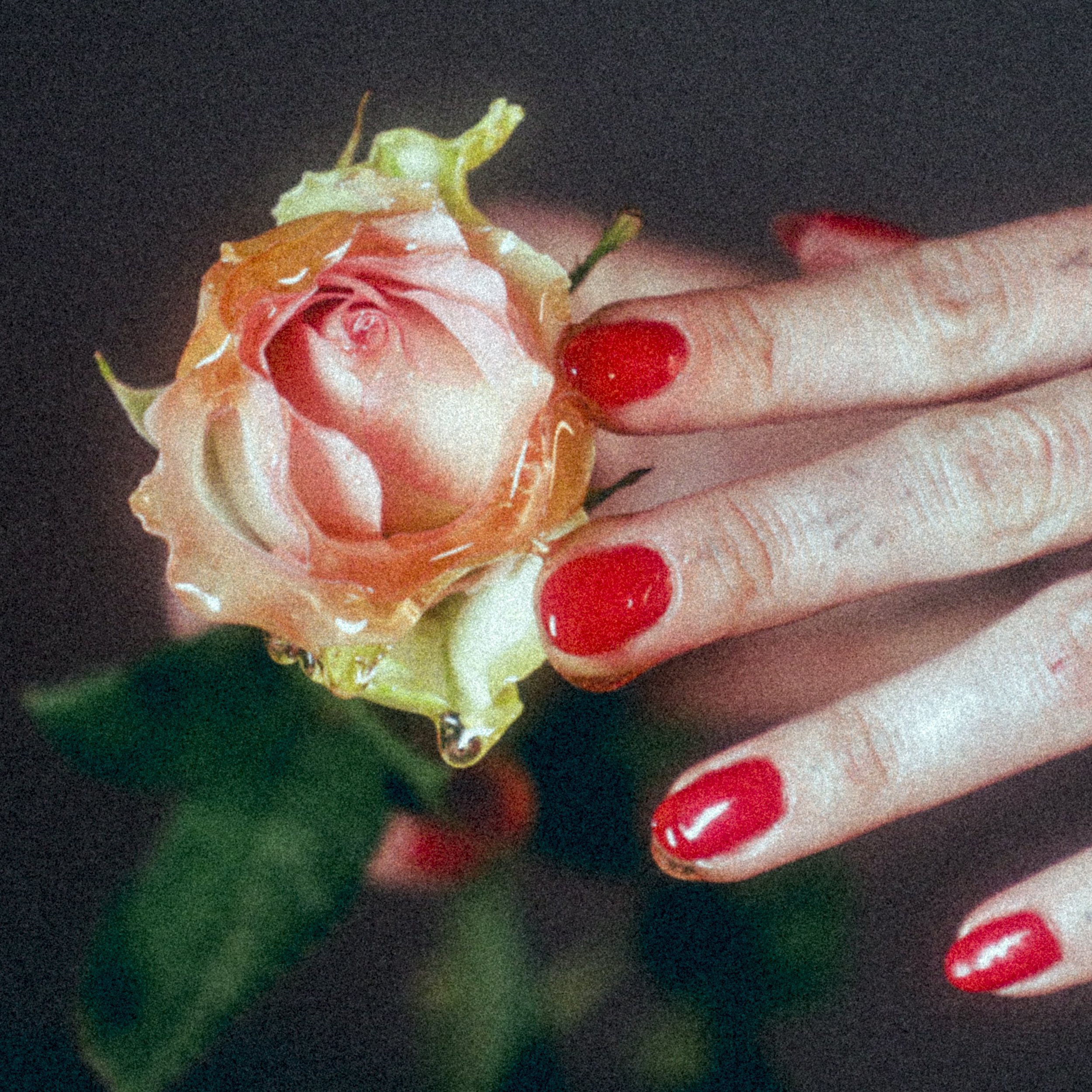 LIANNA_MIEL_MAVA_8927.jpg