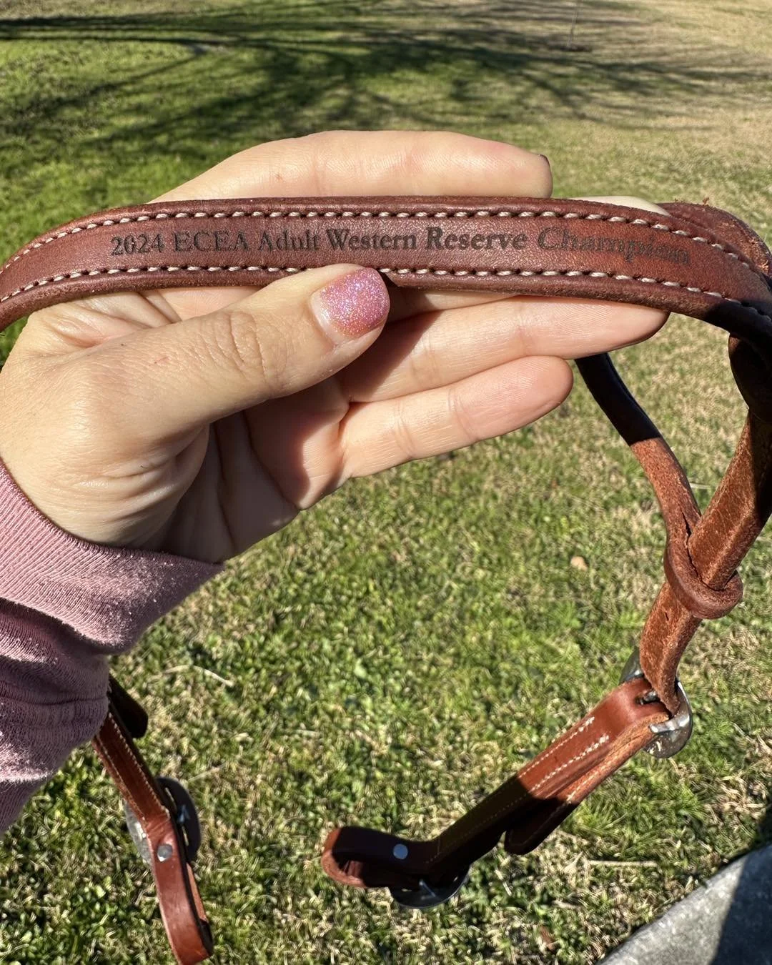 Western Headstalls
