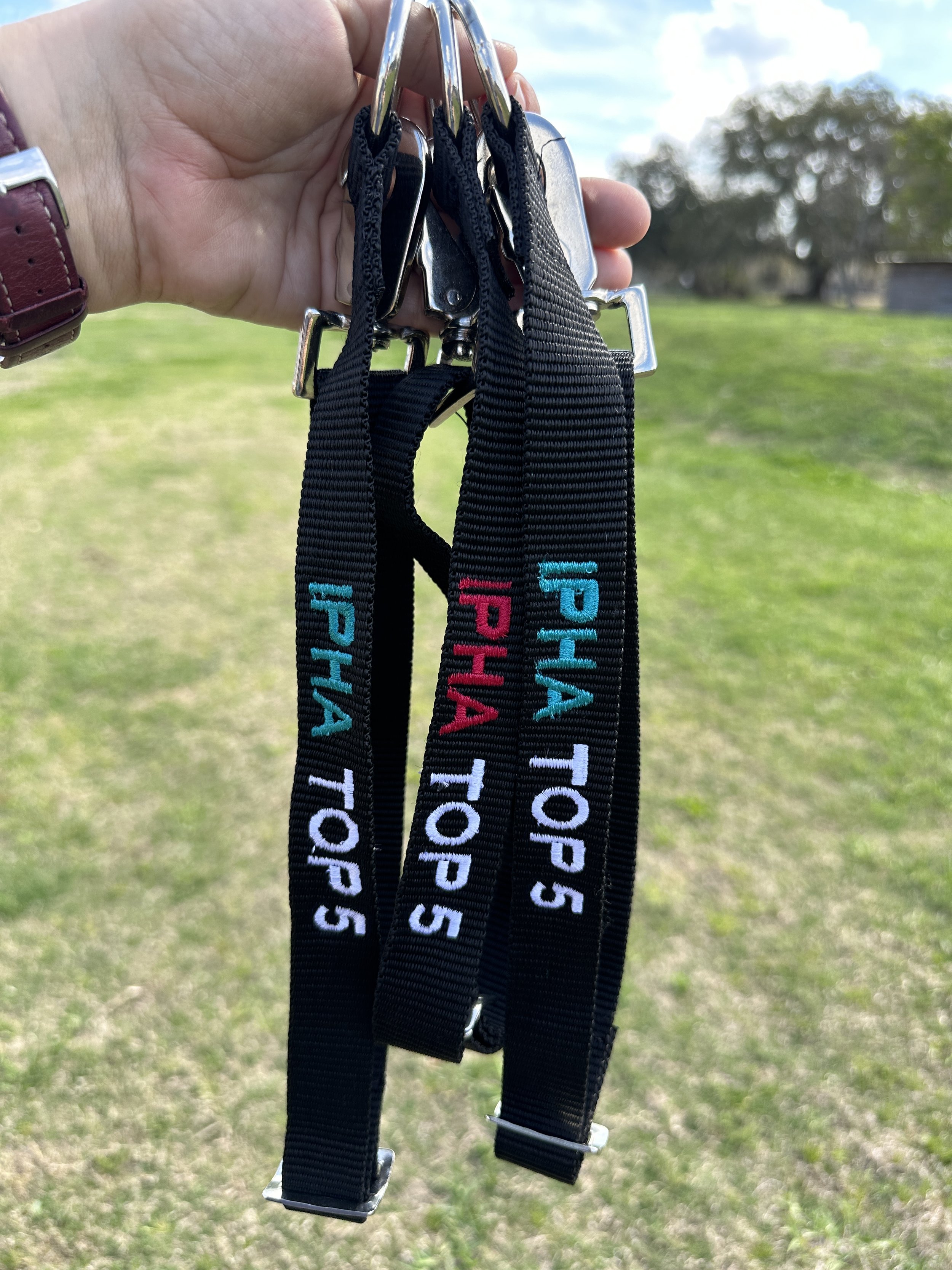 Adjustable Bucket Strap