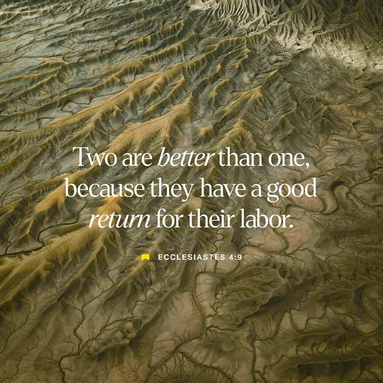 Still Learning Together