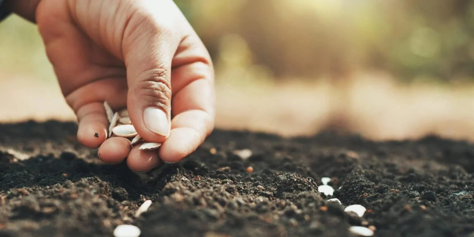 The Soil of Discipleship