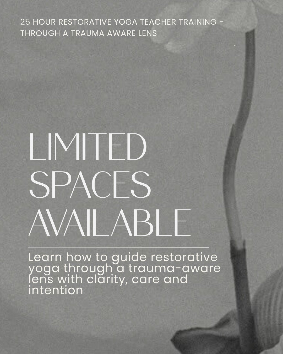 Restorative yoga is often misunderstood as Yin Yoga, or just laying on bolsters.

But to guide this practice well requires skill, understanding and intention.

In this training we explore how to teach restorative yoga through a trauma-aware lens, whe