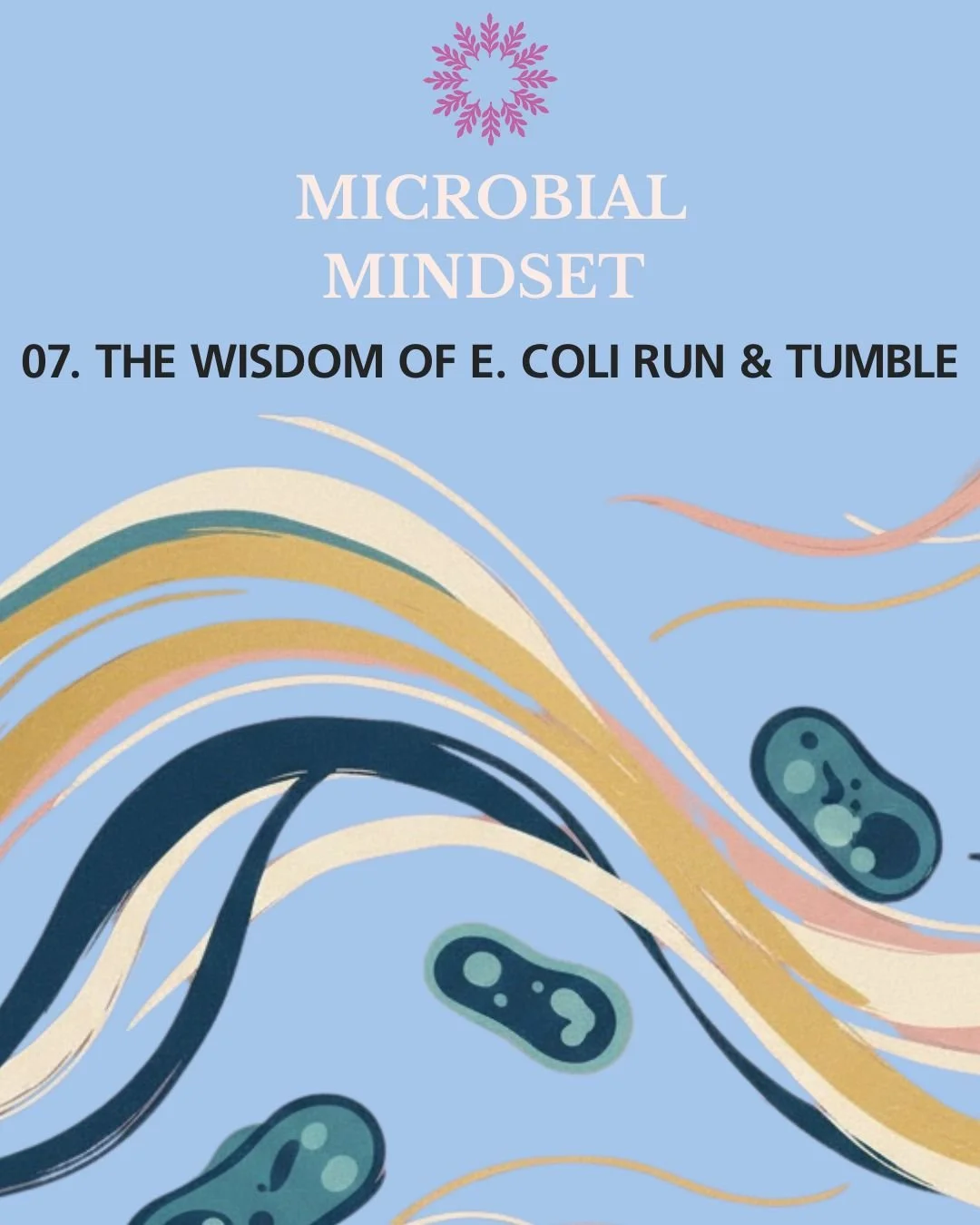 Feeling the pressure to always have a plan? What if the wisest move is to embrace a little chaos?

The humble E. coli navigates its world with a brilliant strategy: the 'run and tumble.' It alternates between focused sprints ('runs') and random tumbl