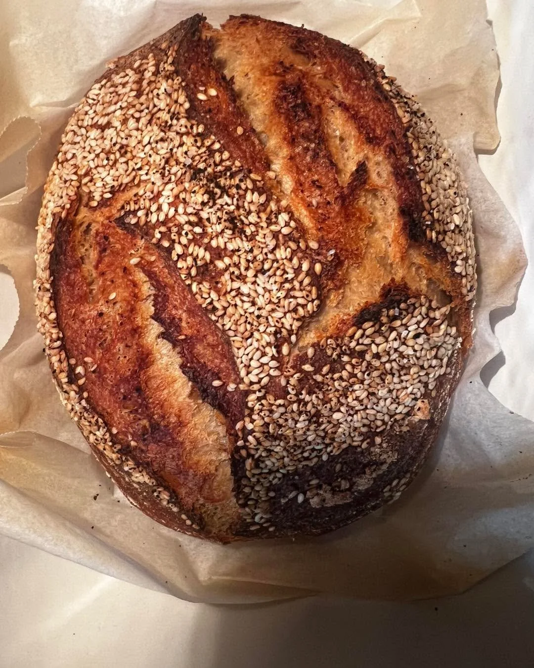 Last two spots for sourdough workshop 🌟

This Sunday, 3 May, Armidale

Link in story and bio