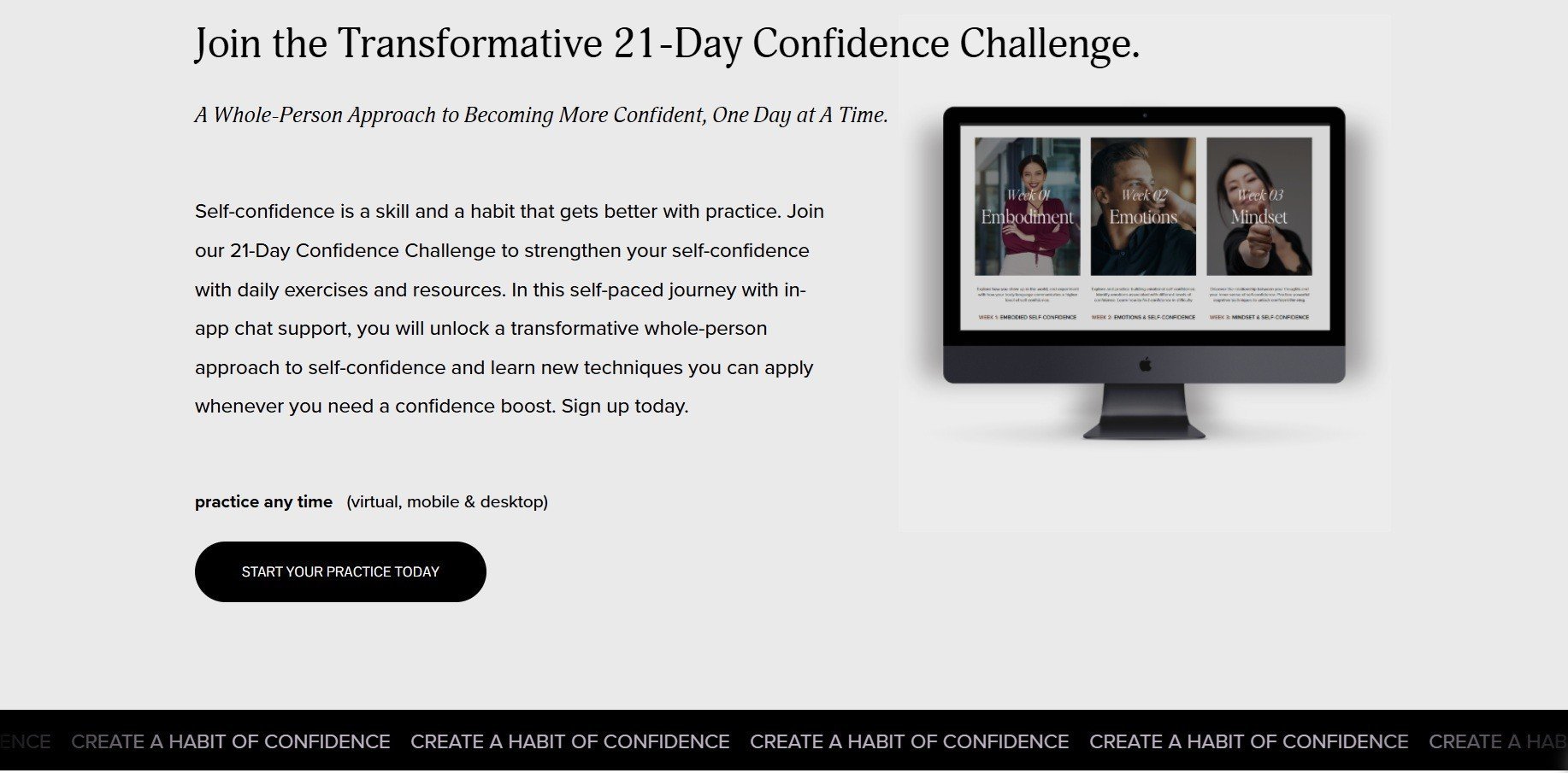 Confidence Coaching Program Brief