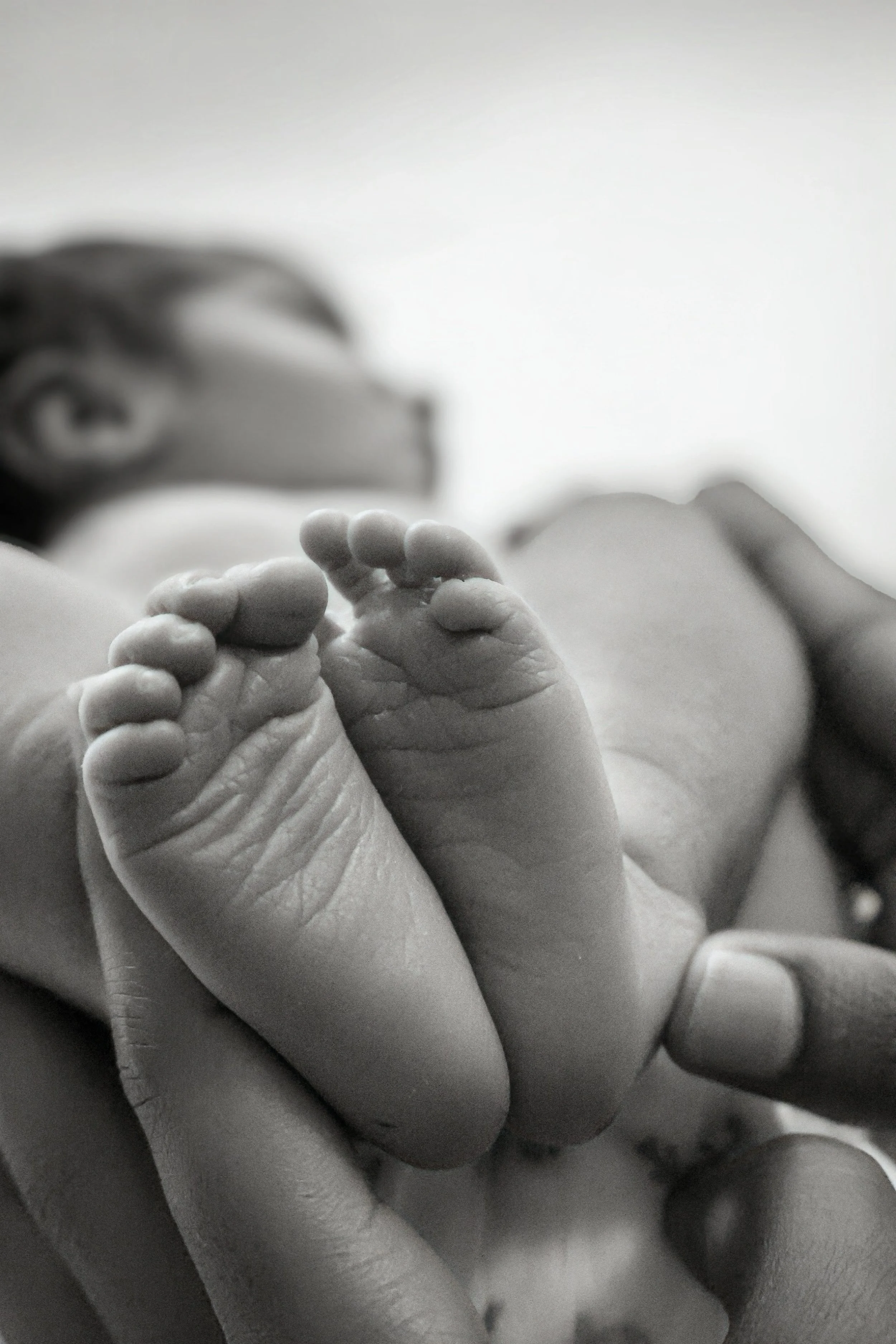 Close-up of a tiny newborn baby's feet being held by an adult.