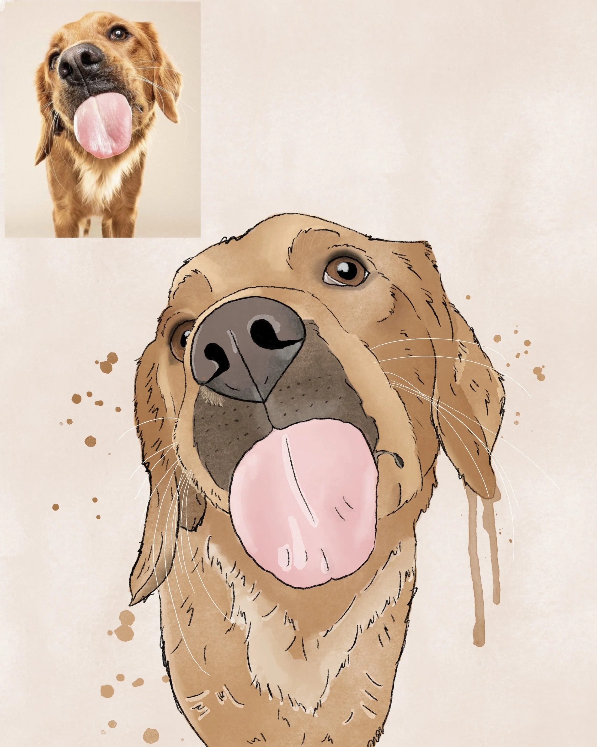 pet portrait.jpg