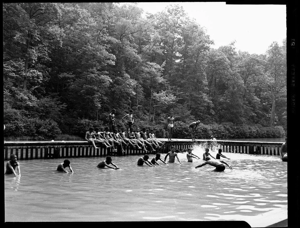 People swimming and diving at a wooden pier on a lake, surrounded by dense trees.