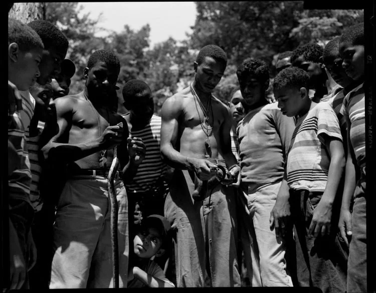 Group of young boys gathered around a man holding a snake outdoors.