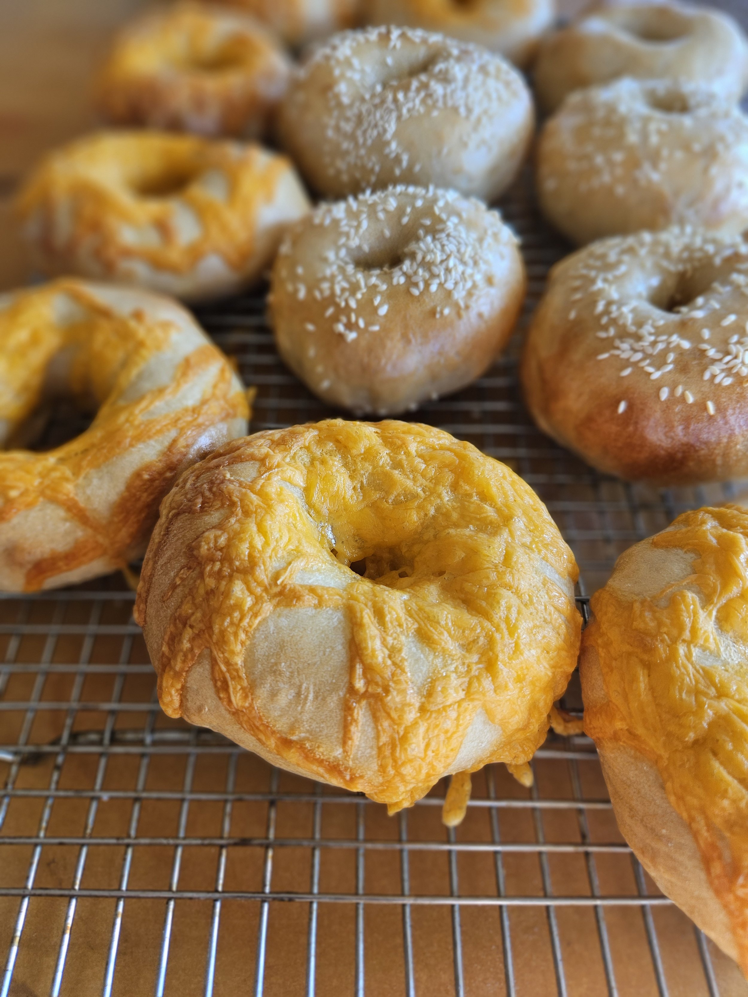 Sourdough Bagels