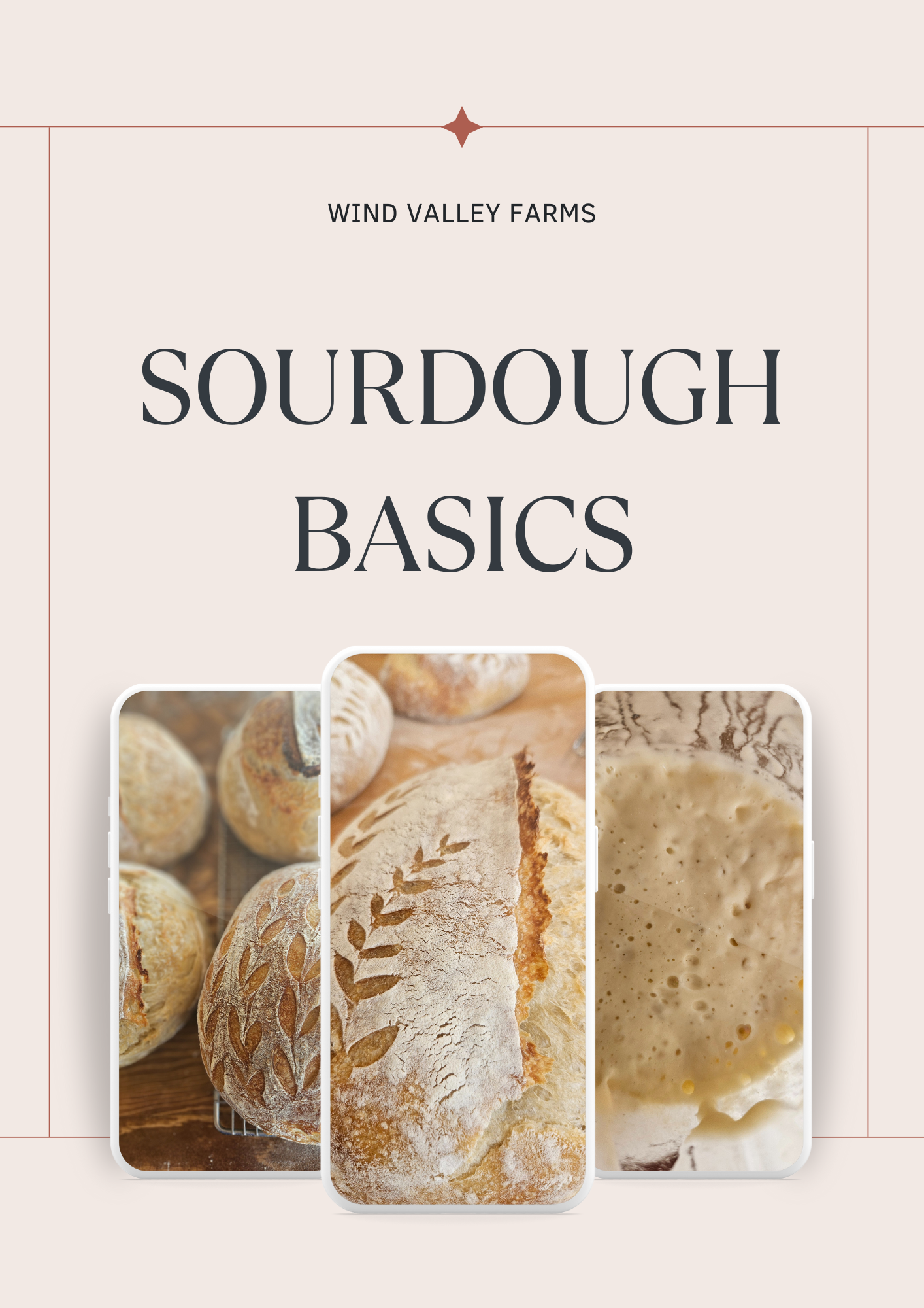 Sourdough Basics Guide (PDF)