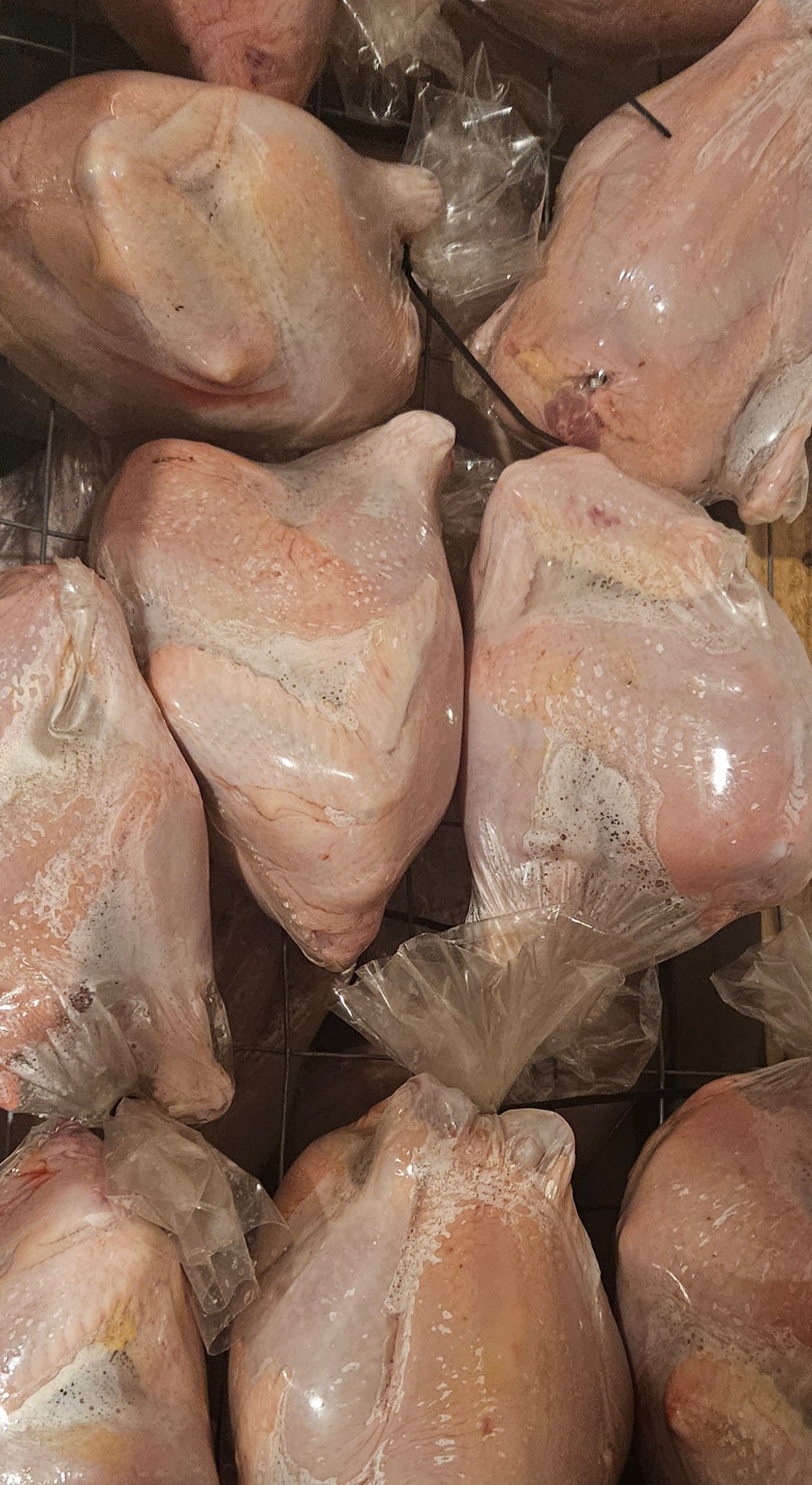 Pasture Raised, Whole Chicken