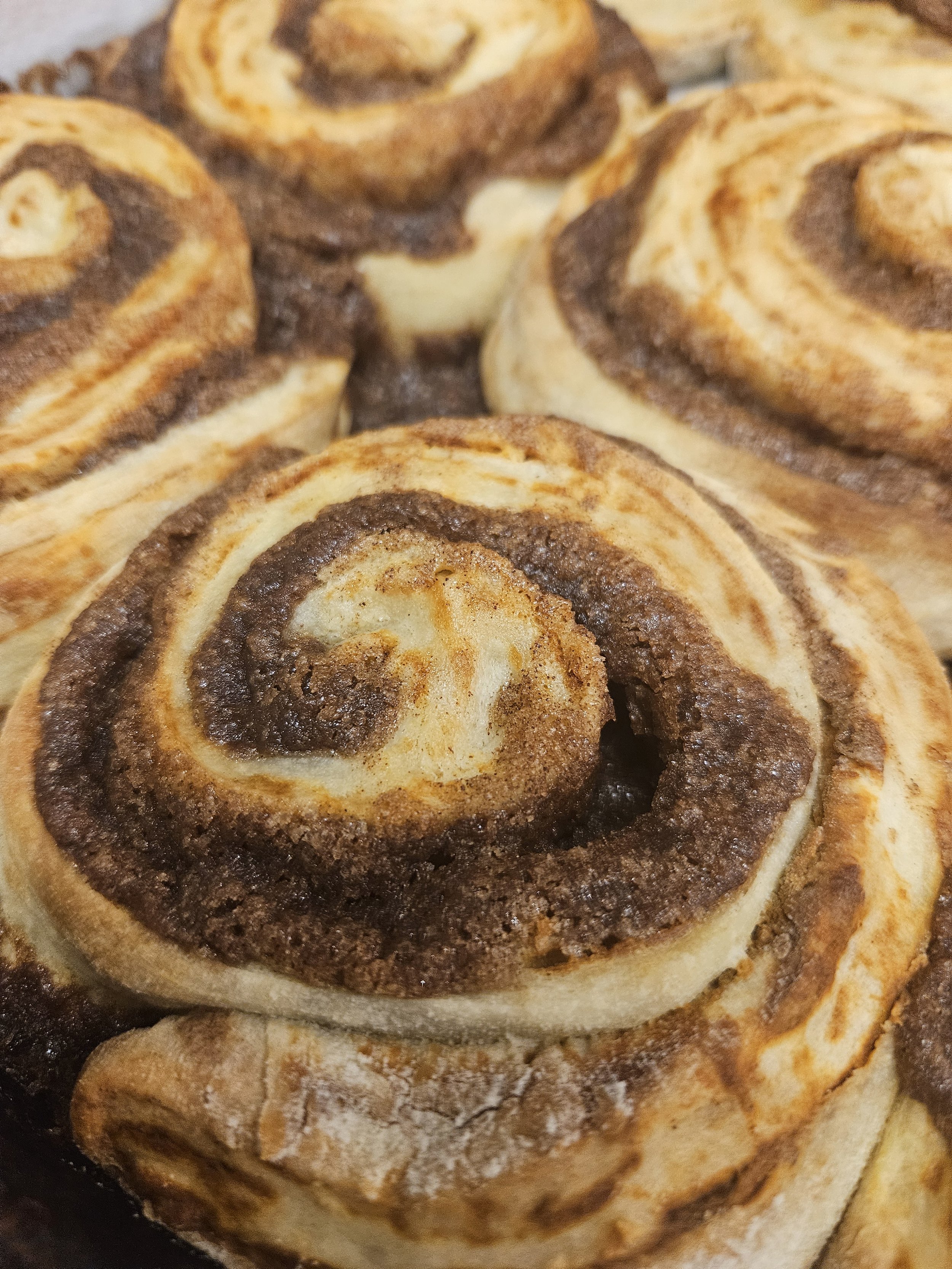 Sourdough Cinnamon Rolls