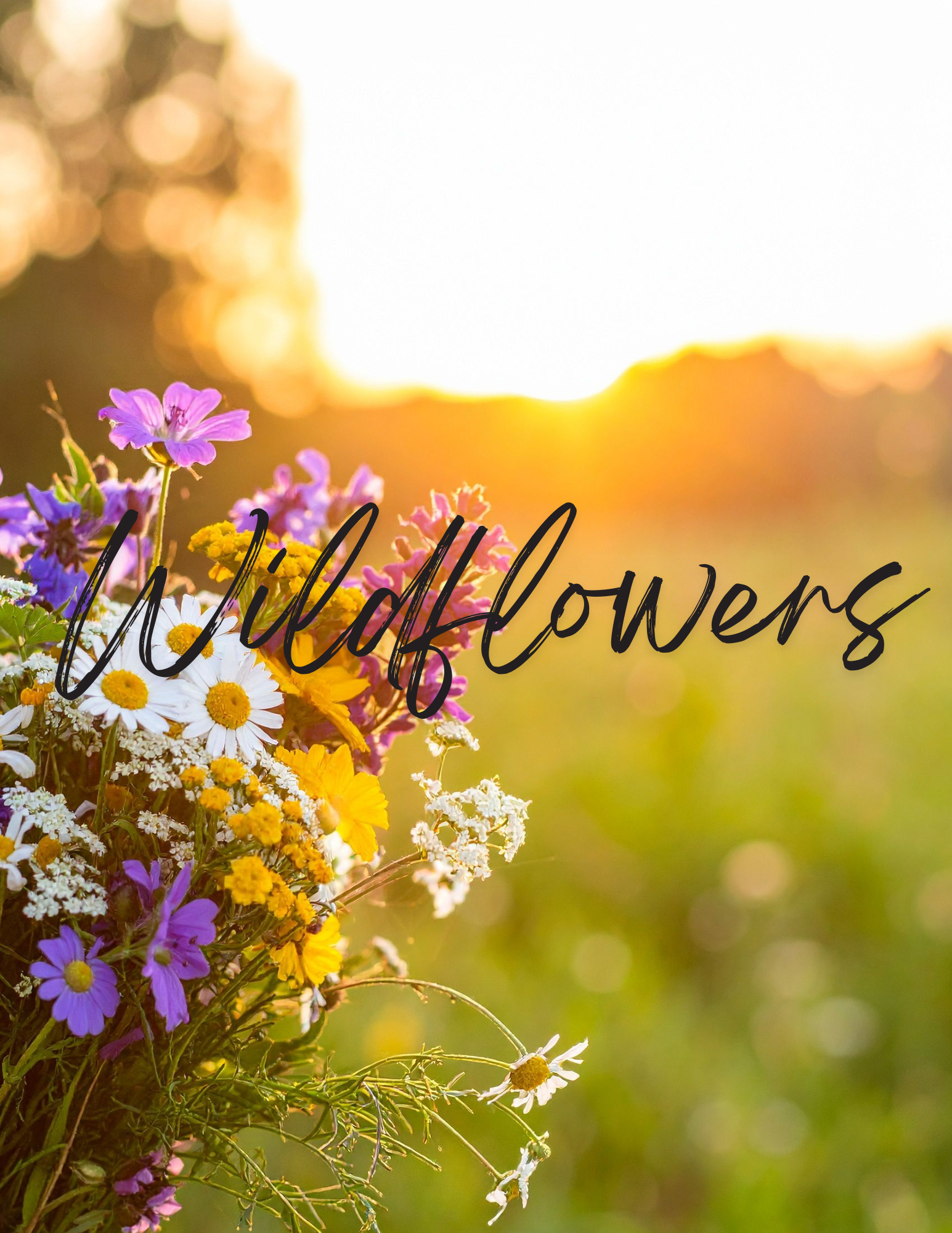 Friday Evening - Wildflower Womens Homesteading Conference