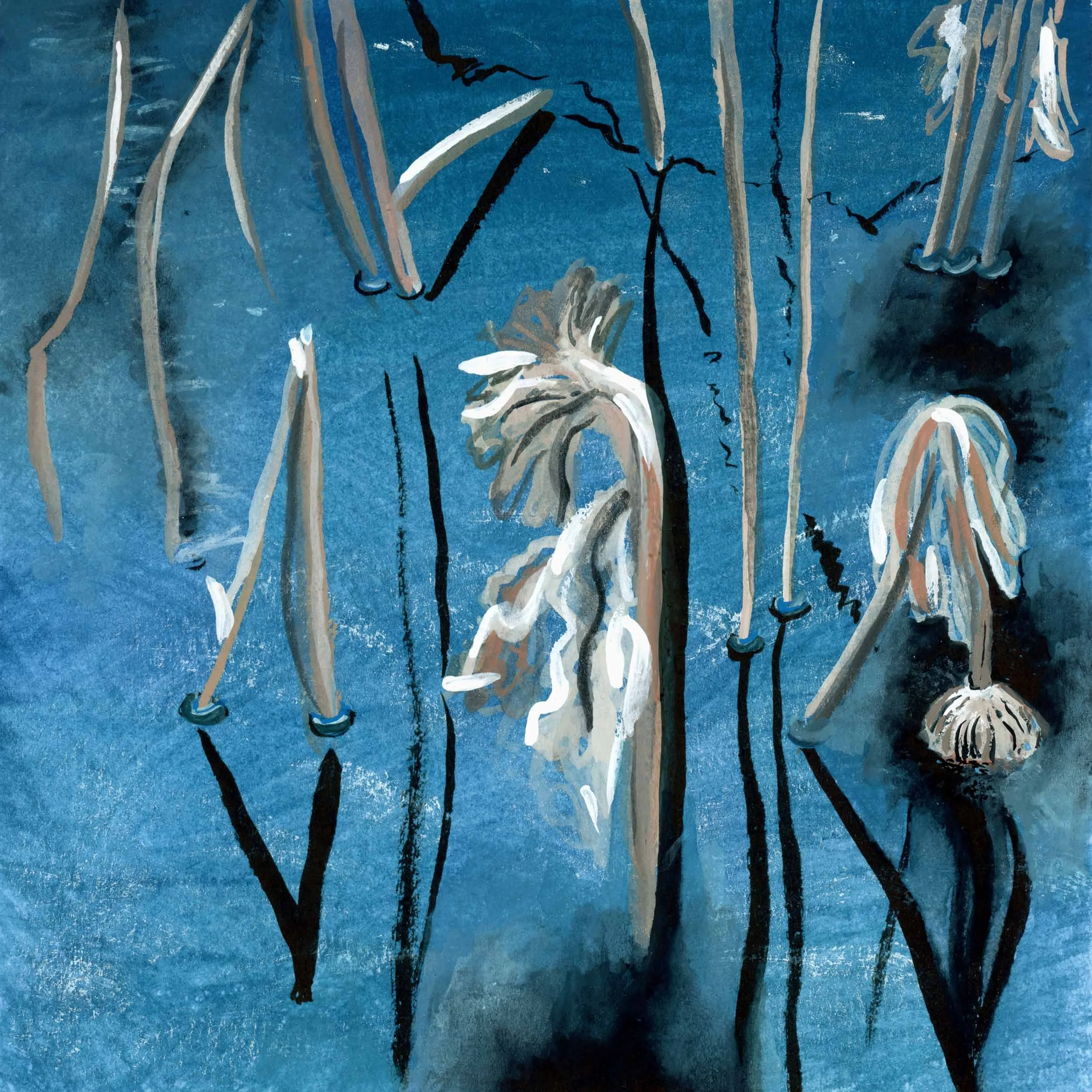 6/131 midwinter lotus