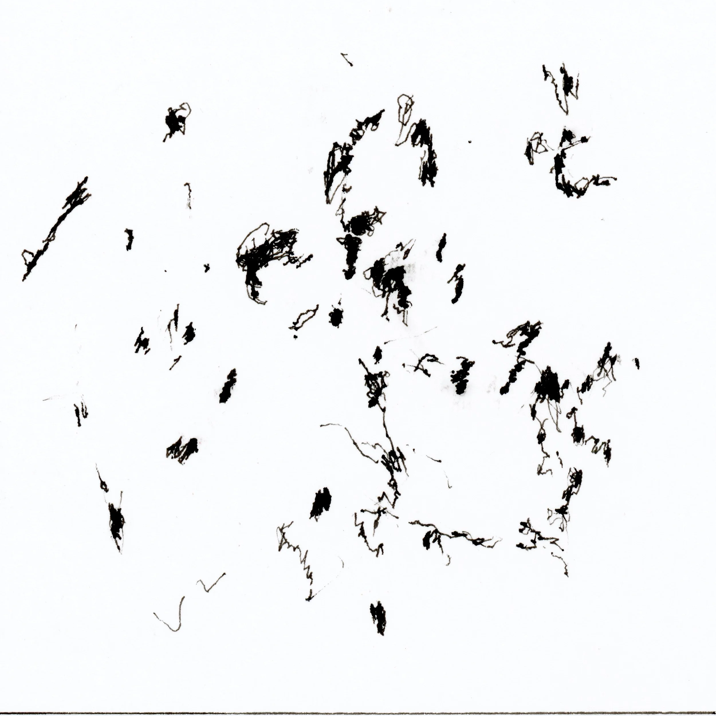 23/131 overnight bus