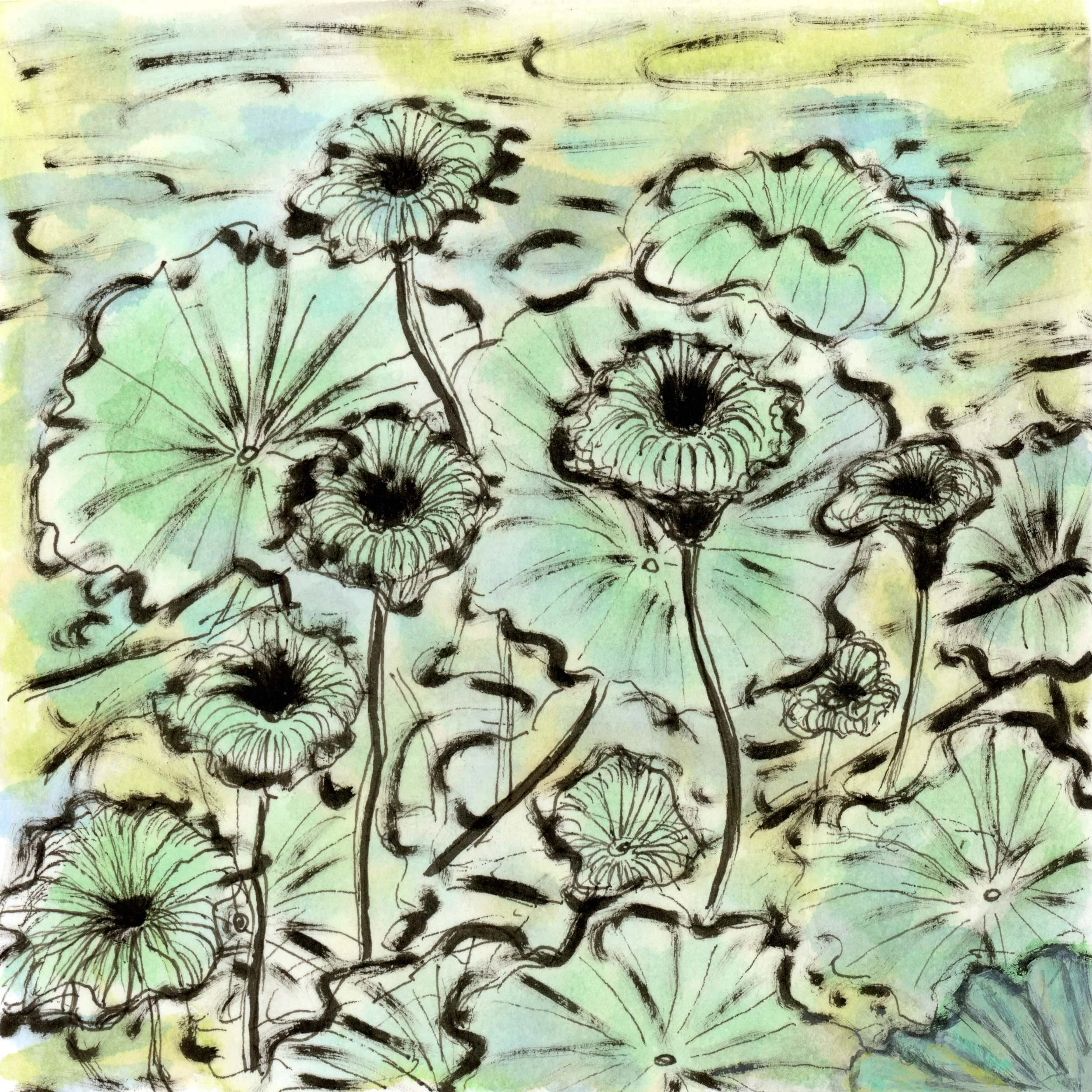 62/131 botanical park