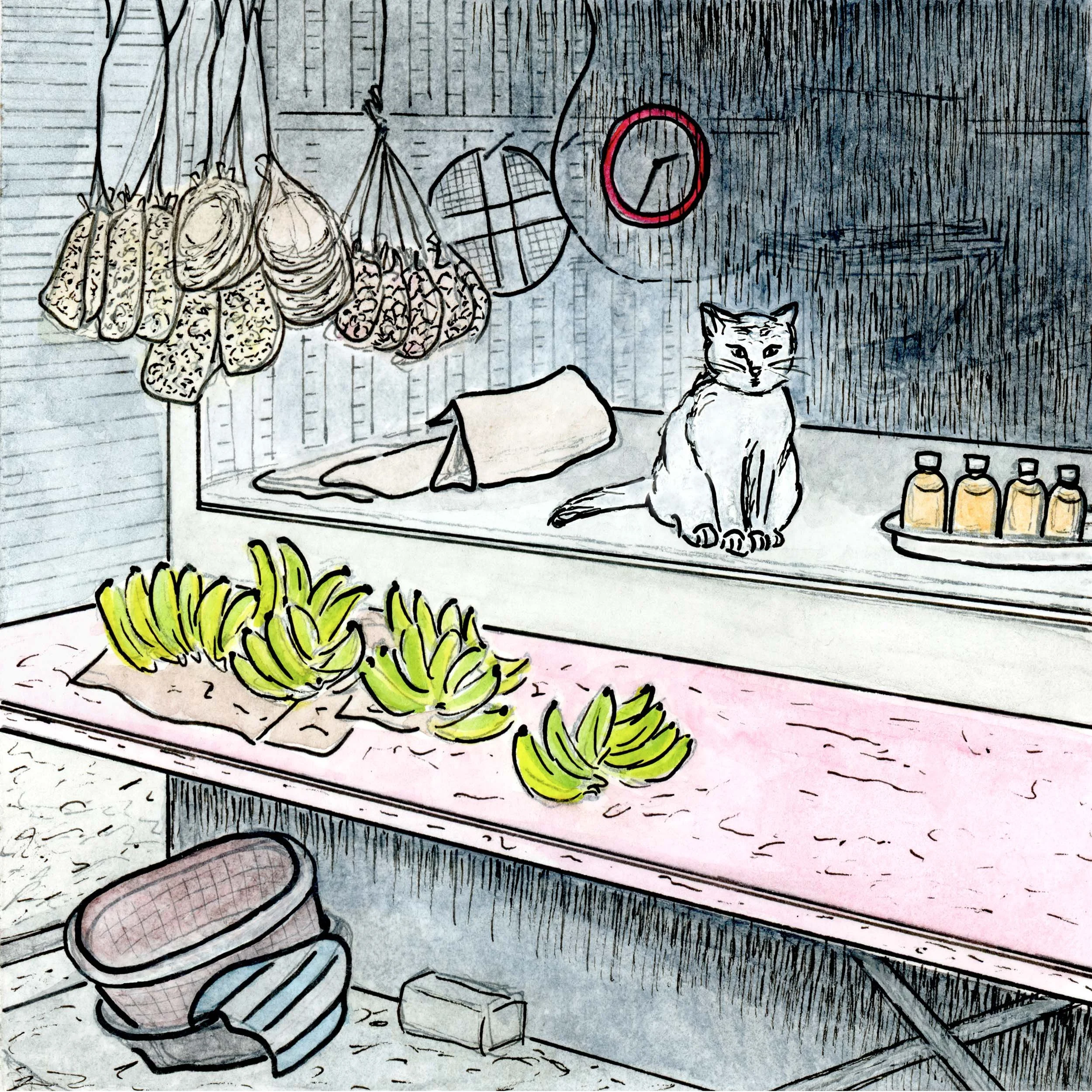 37/131 on the way to Yaya's